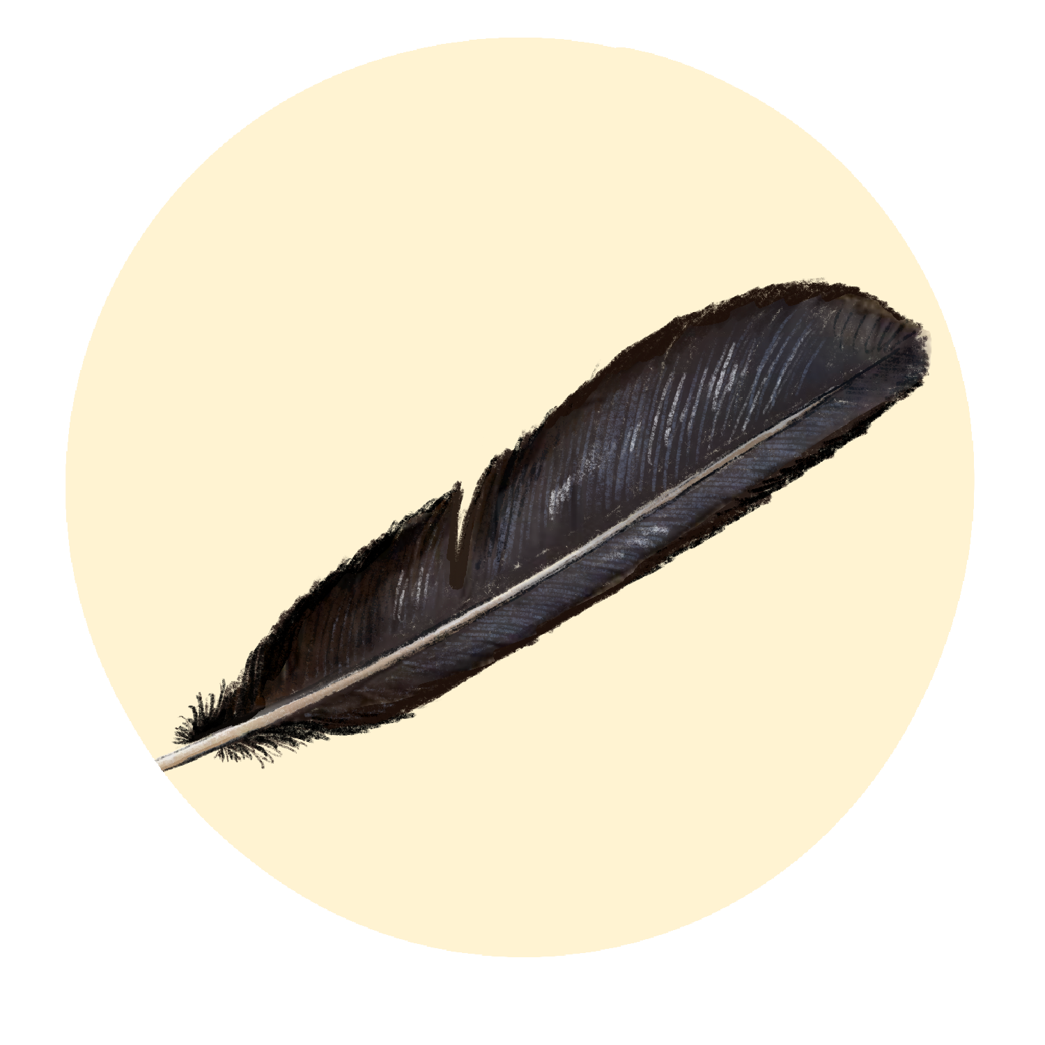 Bird feather.PNG
