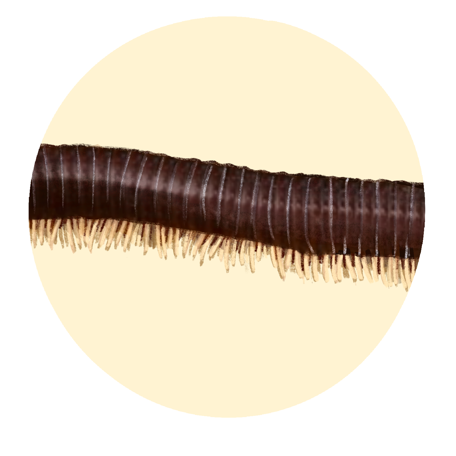 Millipede.PNG