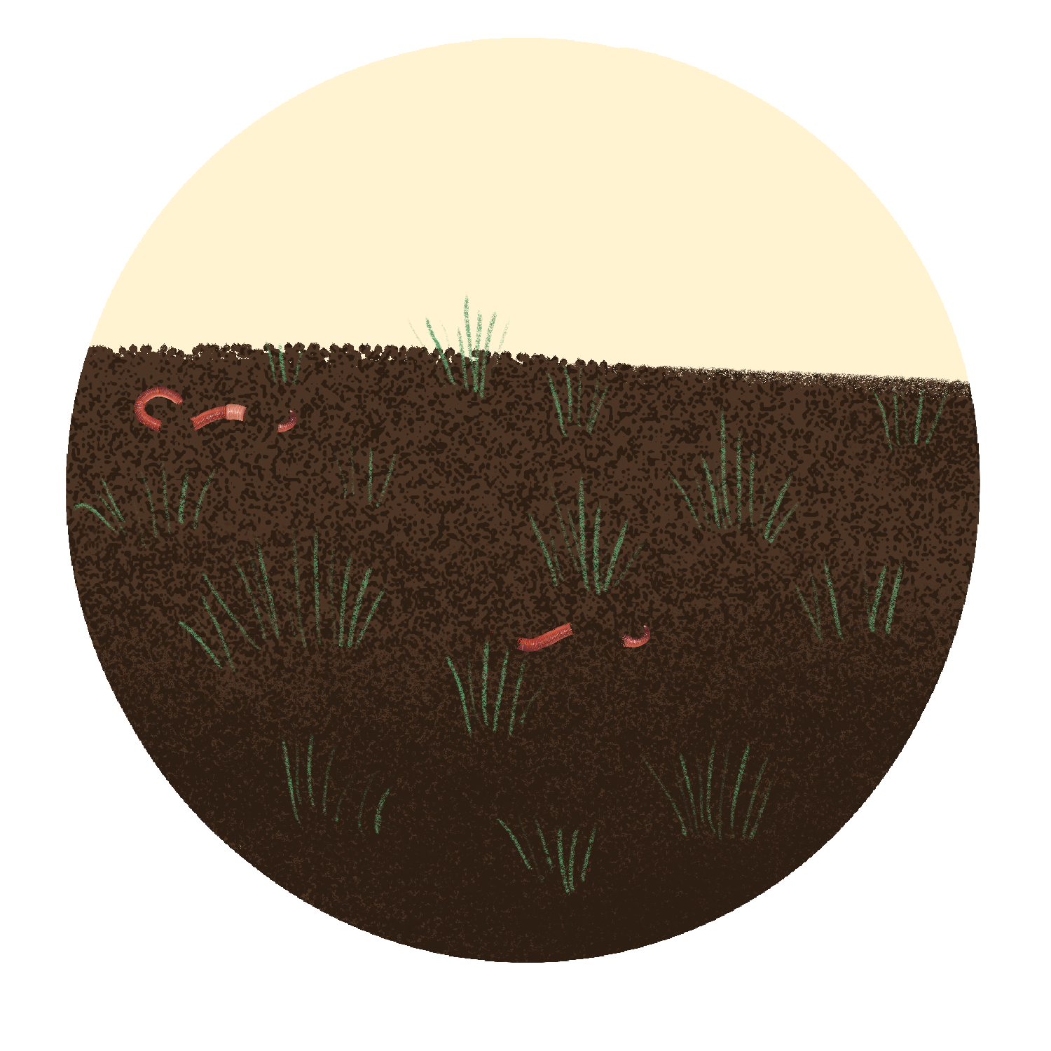 Soil .PNG
