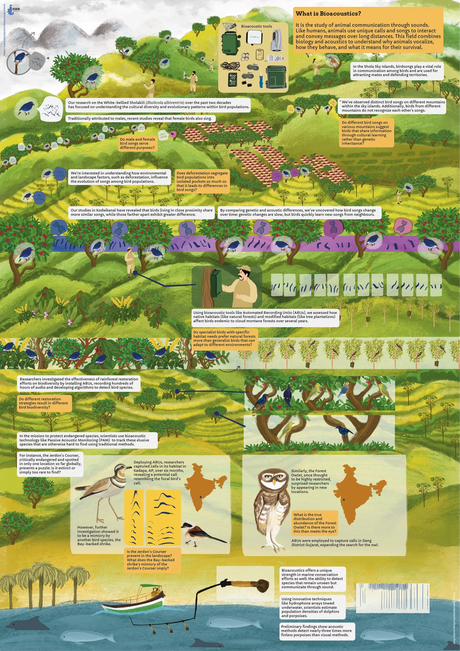 Bioacoustics Scientific Poster — Wonder Yonder