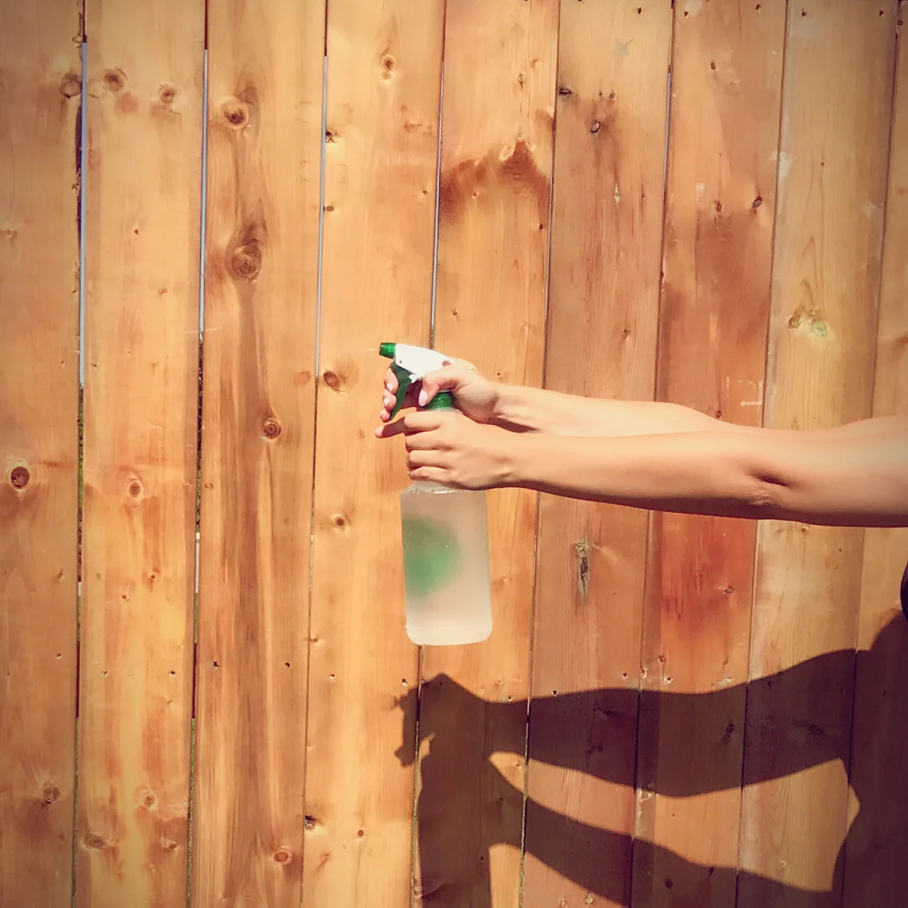 I’m Totally Buggin