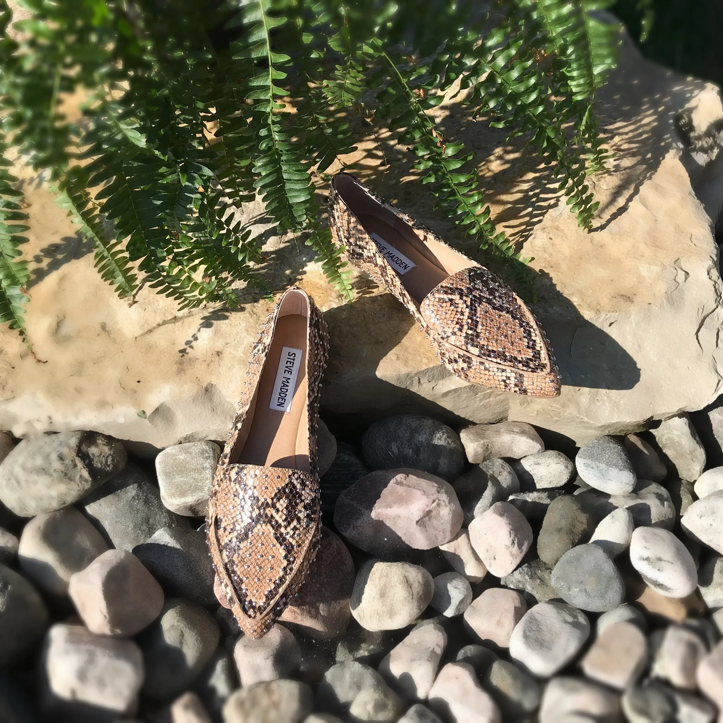 steve madden feather loafer snake
