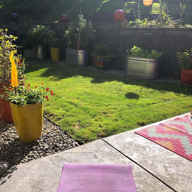 Yoga outside in the sunshine in my parents&rsquo; garden = bliss 🧘🏼&zwj;♀️ 🌞 🌱 .
.
.
#yogatime #yogainthegarden #happyplace #yogaoutdoors #bestyogaspot #sunshine #sunnyfallday #thingsthatmakemehappy #dailyyoga #gardentime #myparentshouseisthebest
