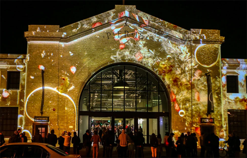 Microscopy facade projection - Paramecium, stentor and other protozoa (natural bubbles)