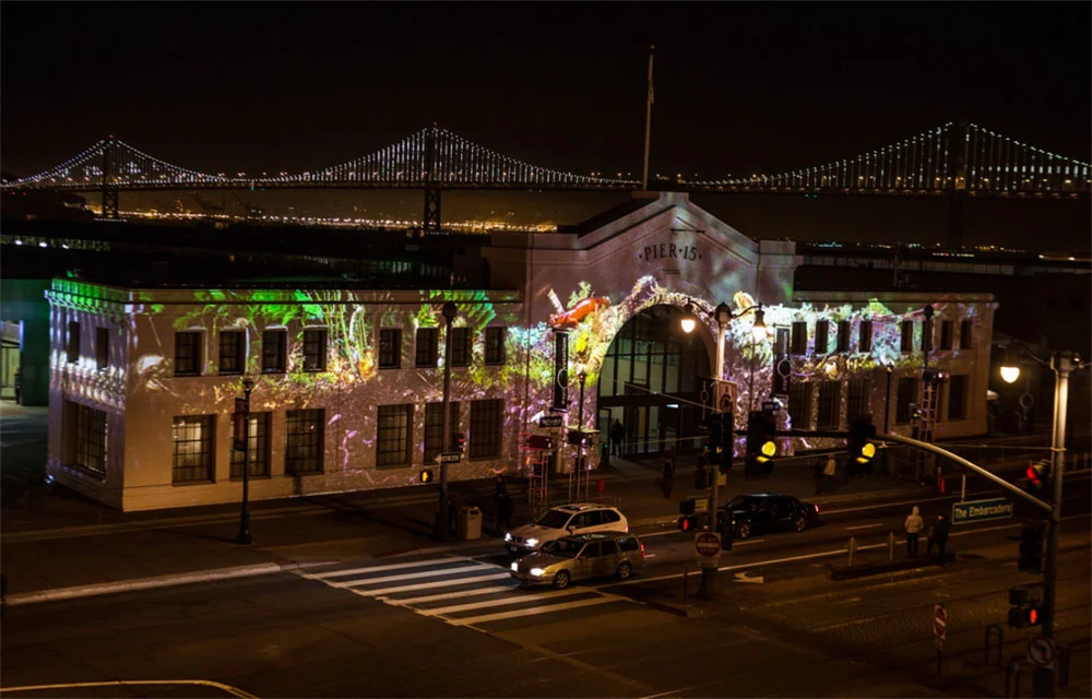 Ecosystem biopsy facade projection