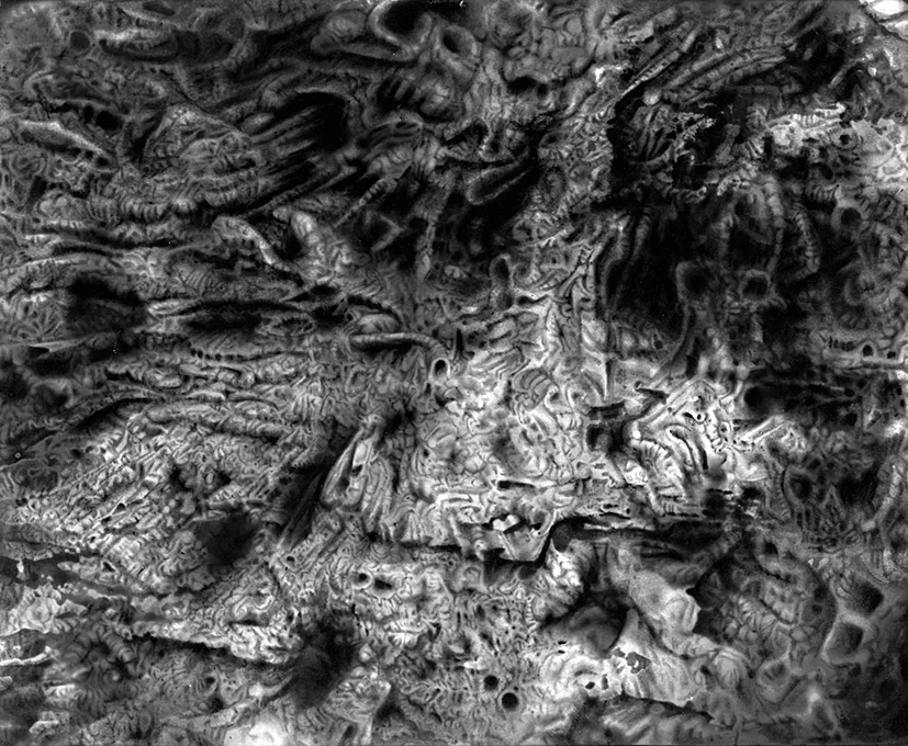 Untitled - retouched silver gelatin print - 1991