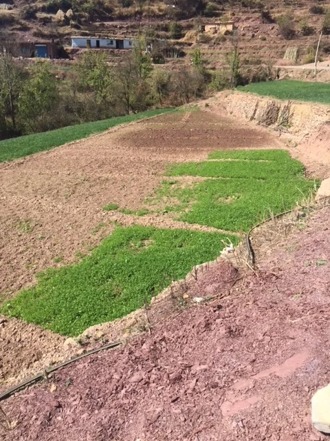 Retaining walls are needed to hold and sustain each level of pasture land.
