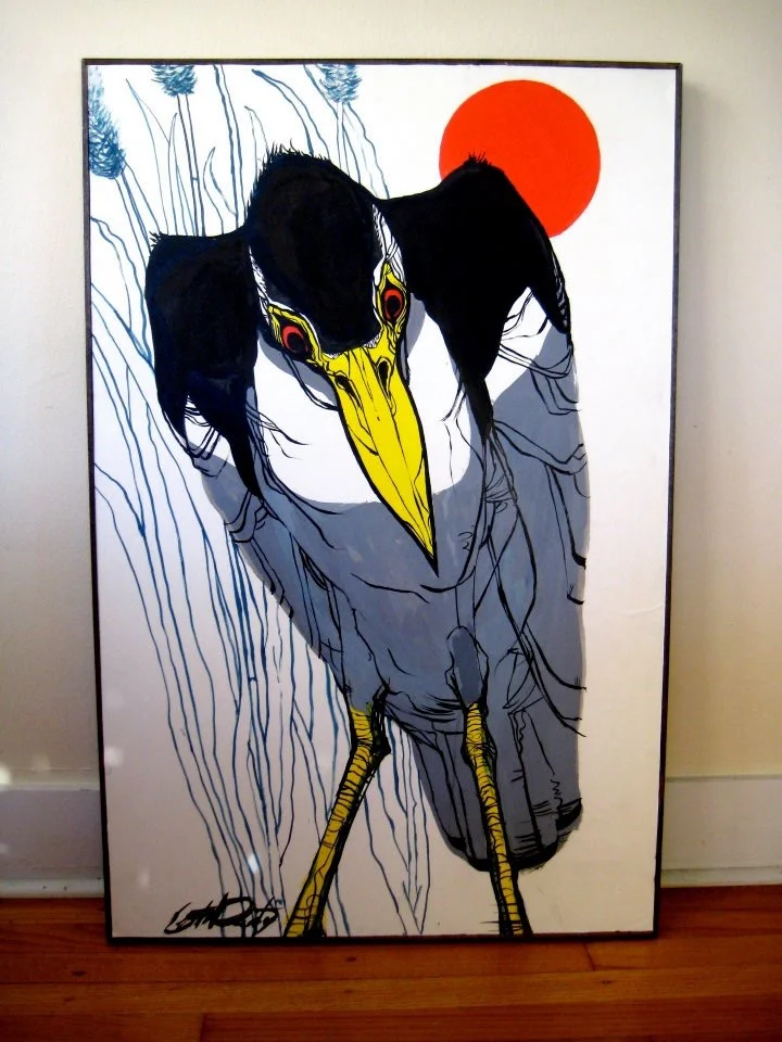 Black Crowned Night Heron