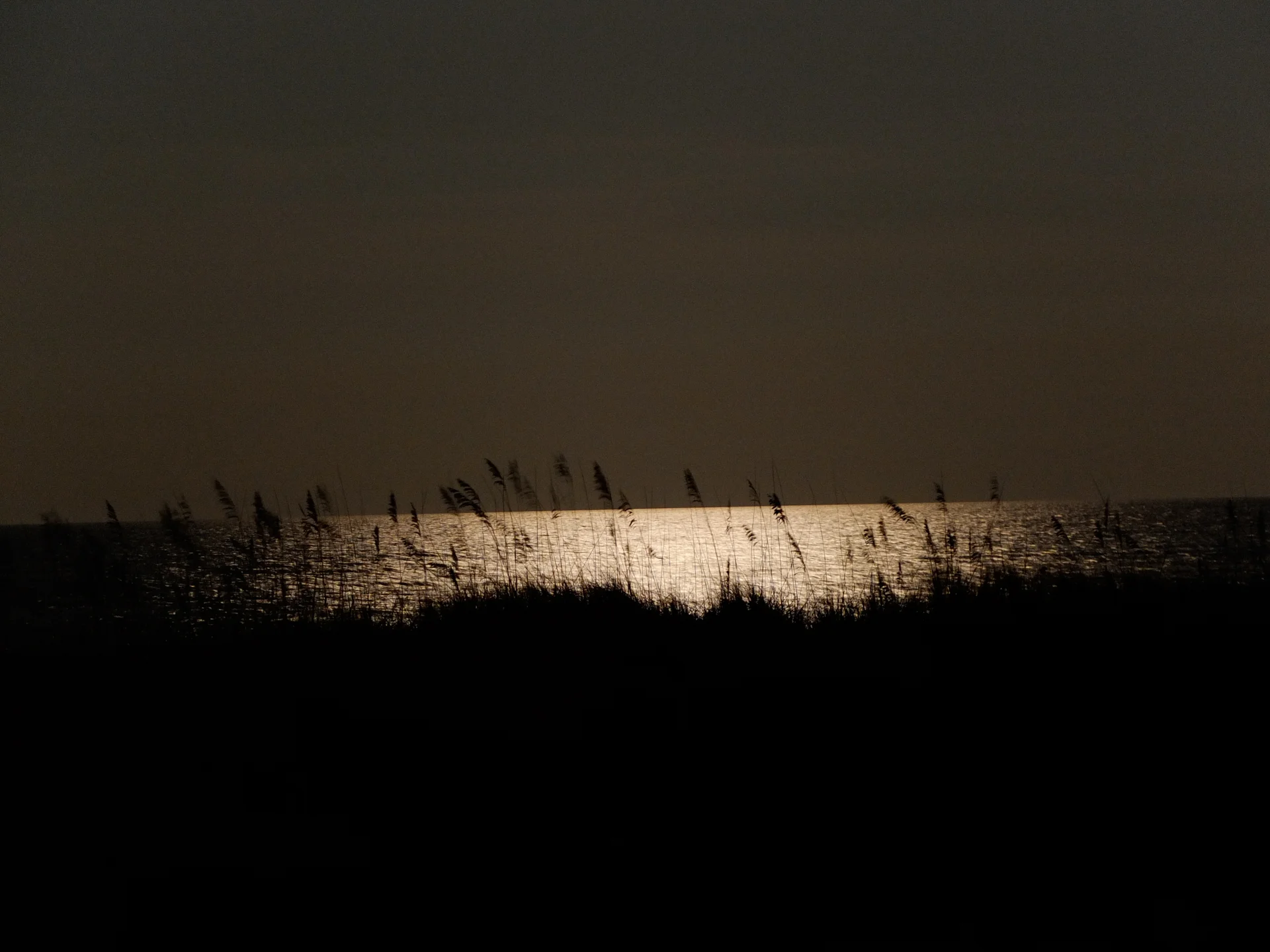 DSCF5284.jpg
