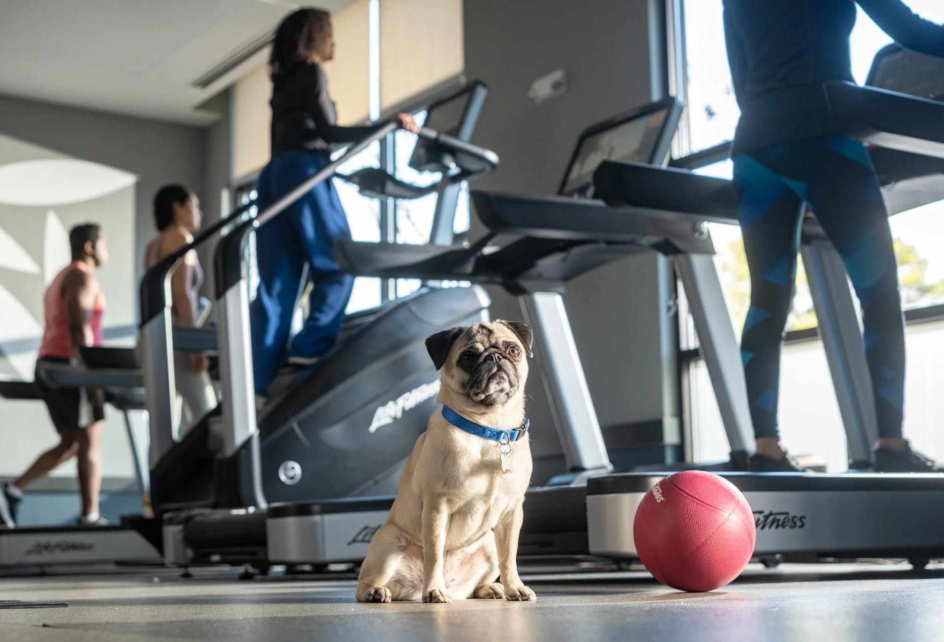  Apartment Lifestyle 2 