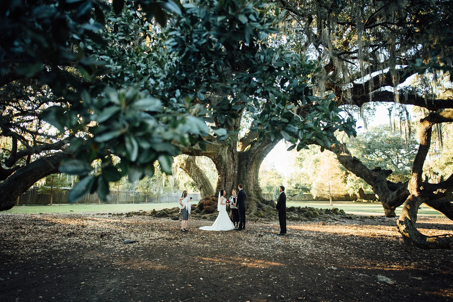Lisa + Rock-Tree-of-Life-Audubon-Park-New-Orleans-Elopement-Photos_Online_0087.jpg