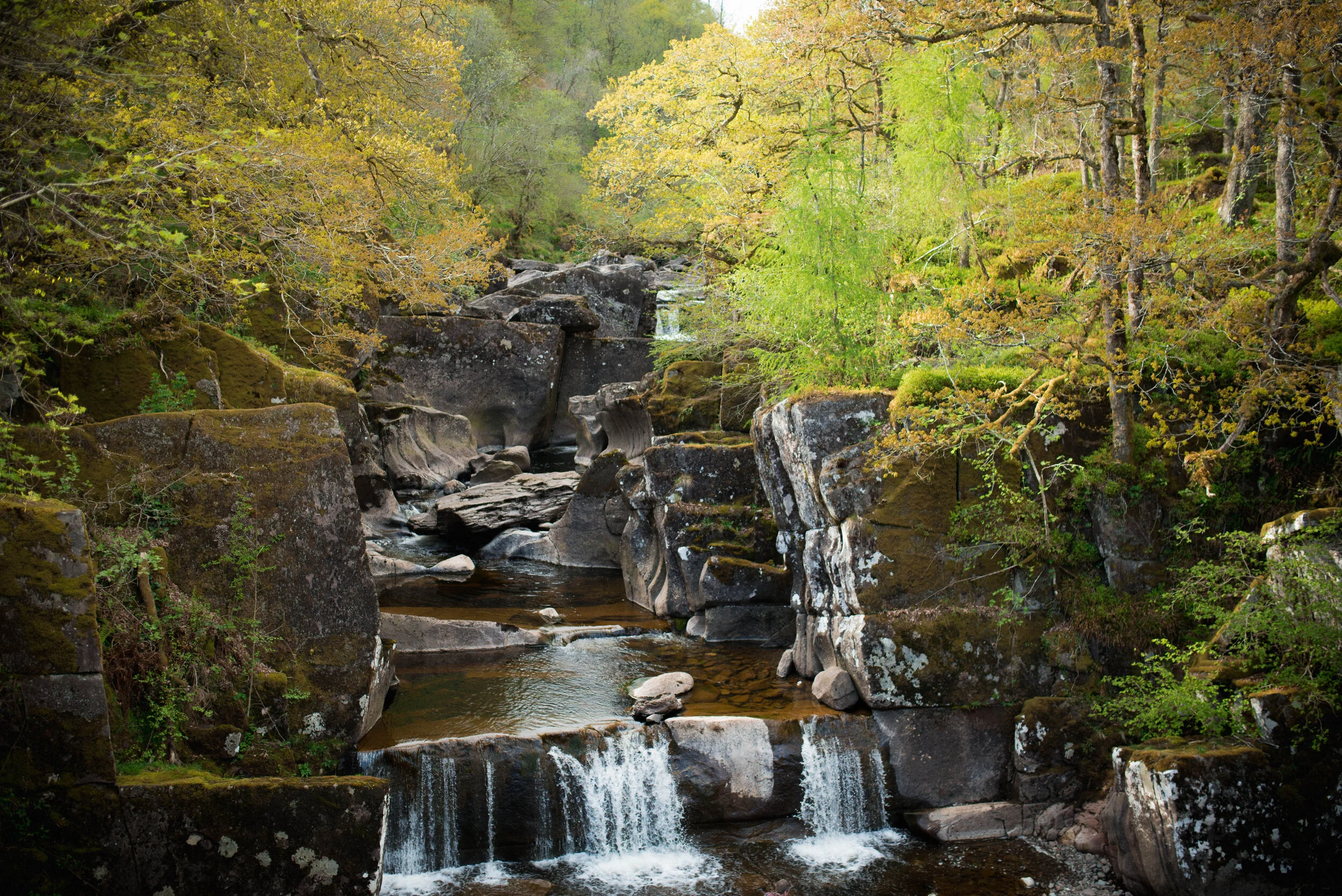 GC2_0439.jpg