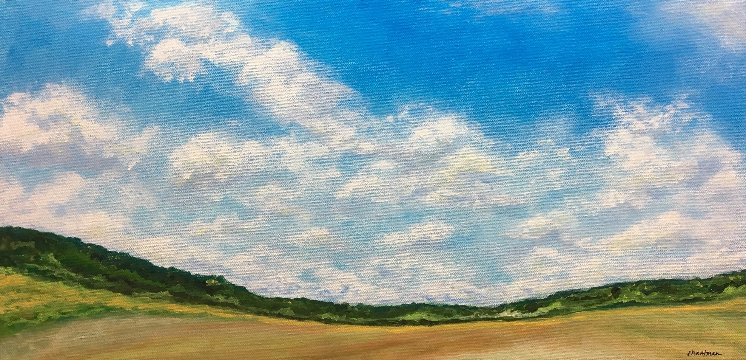 "It's Clouds Illusions I Recall"  10x20"