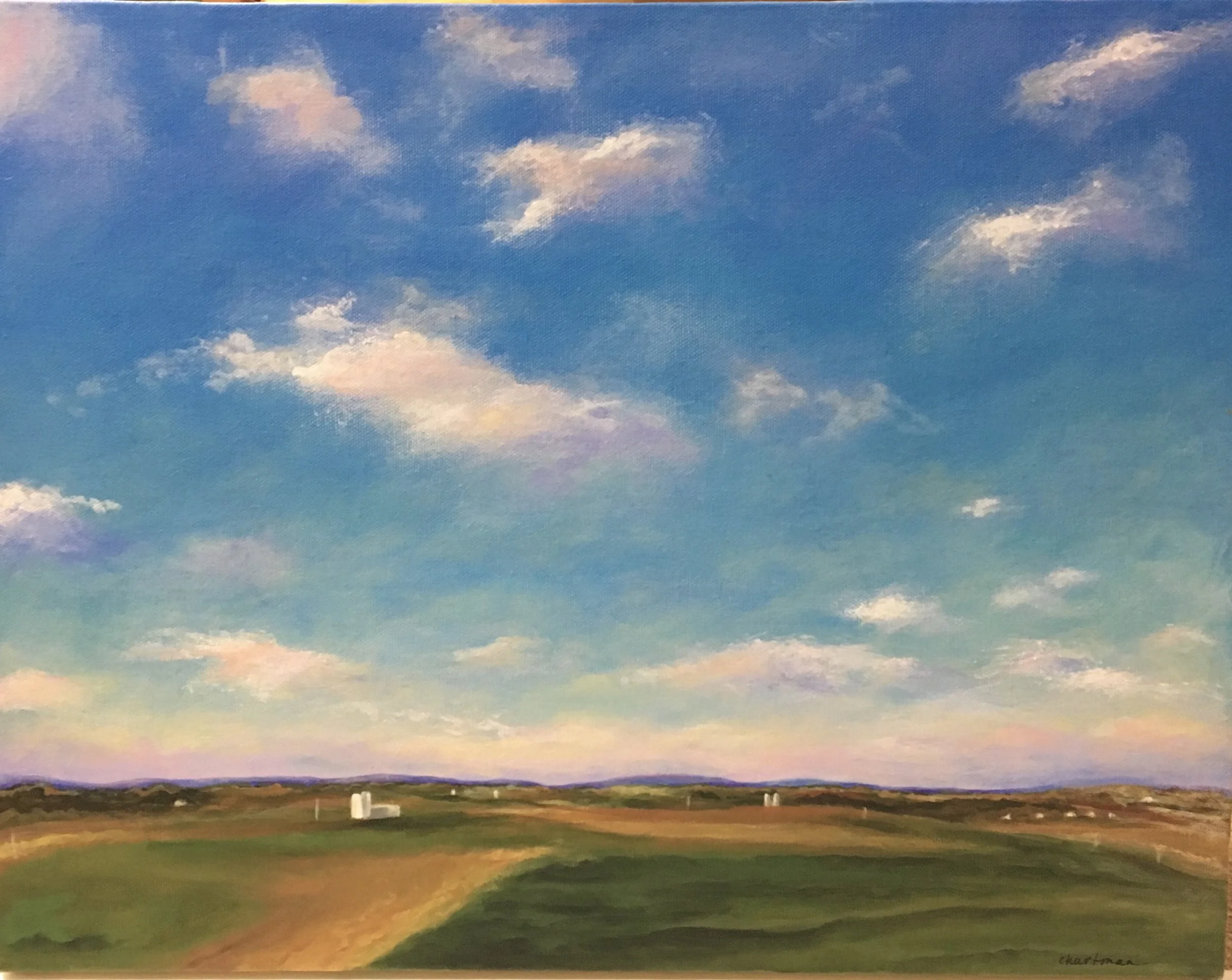 "I'm Doing Fine Up Here on Cloud Nine"  14x18"