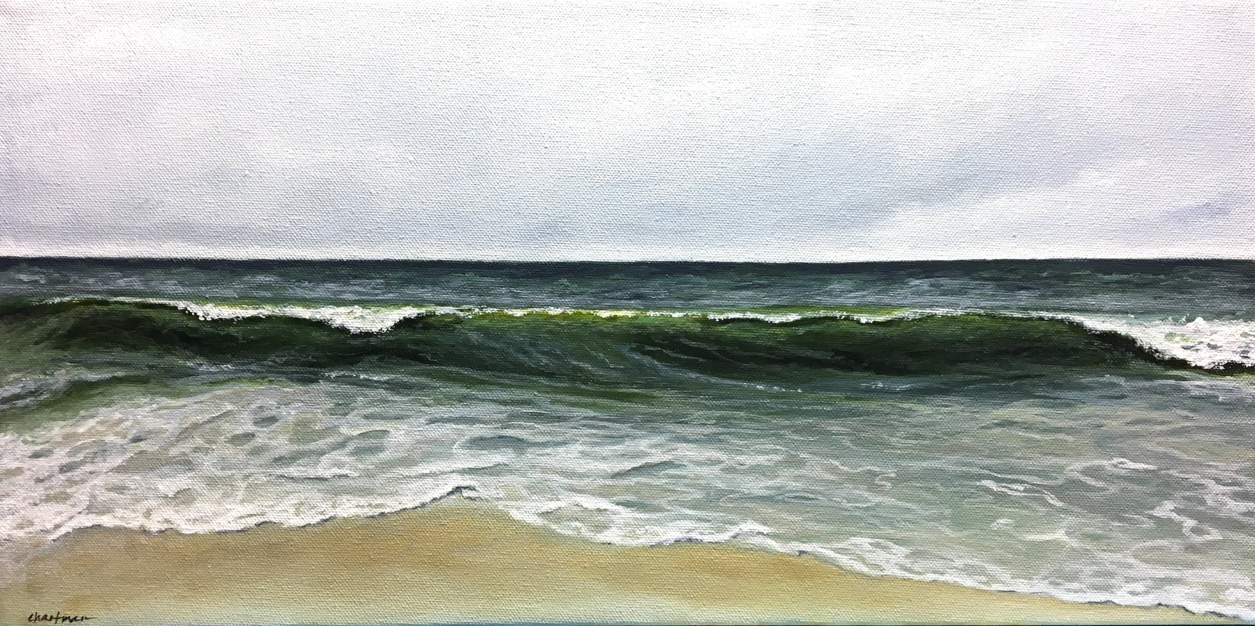 "I Don't Mind the Gray Skies"  10x20"