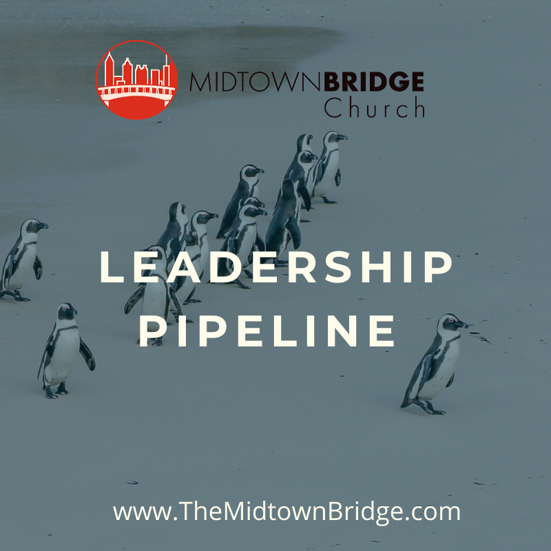 Leadership Pipeline