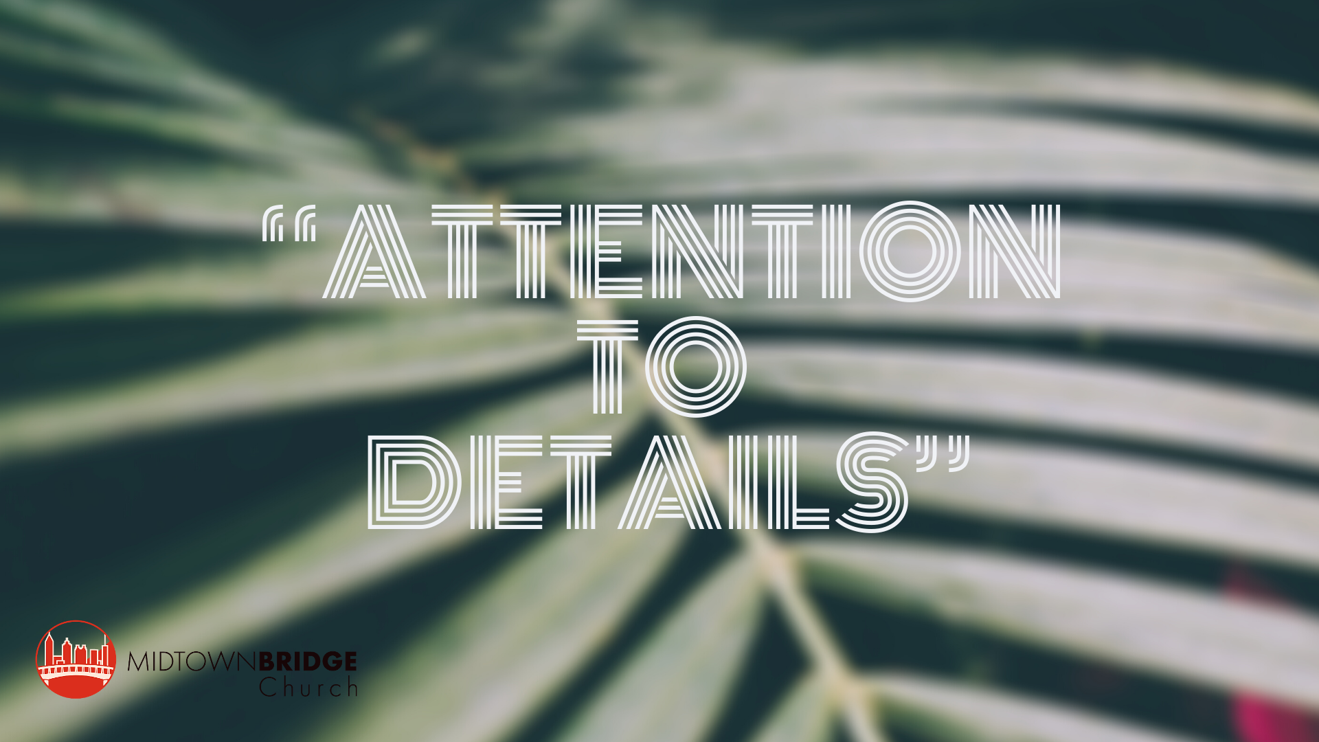 Attention To Details