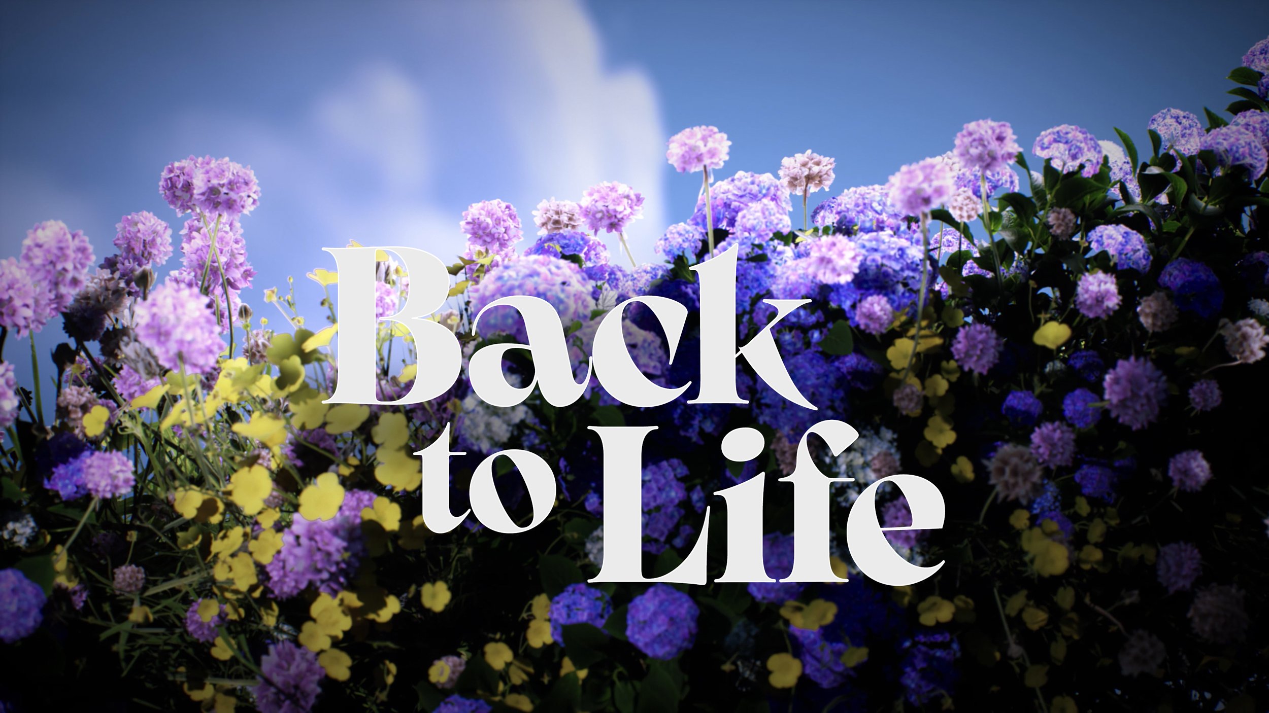 Easter 2023 - Back To Life