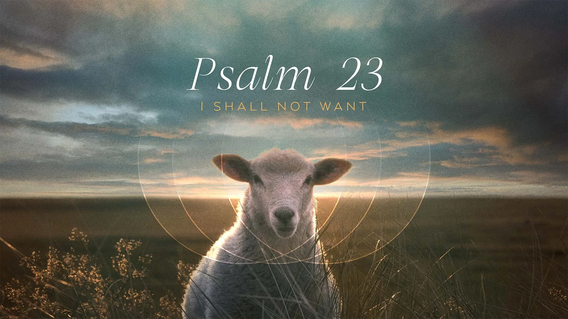 Sunday Worship Service 