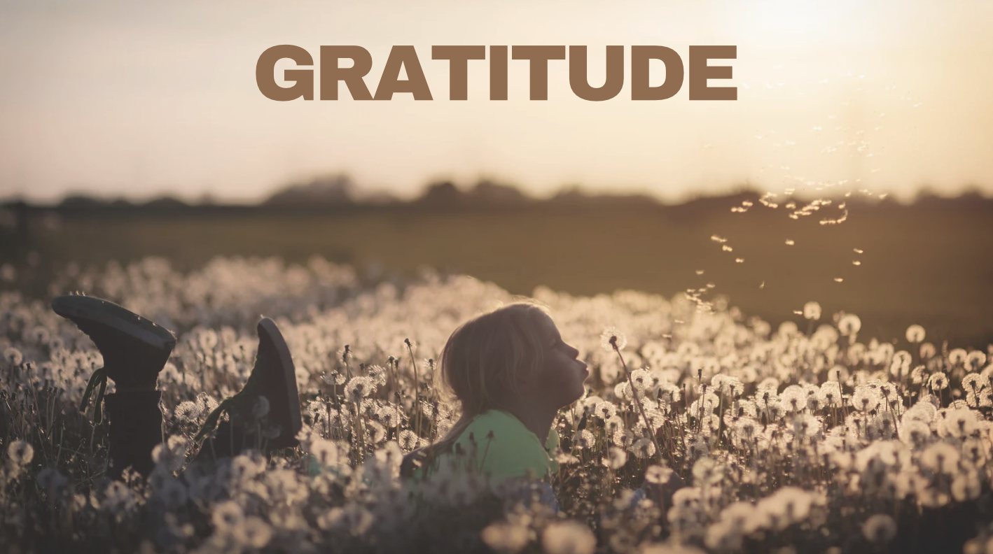 Gratitude