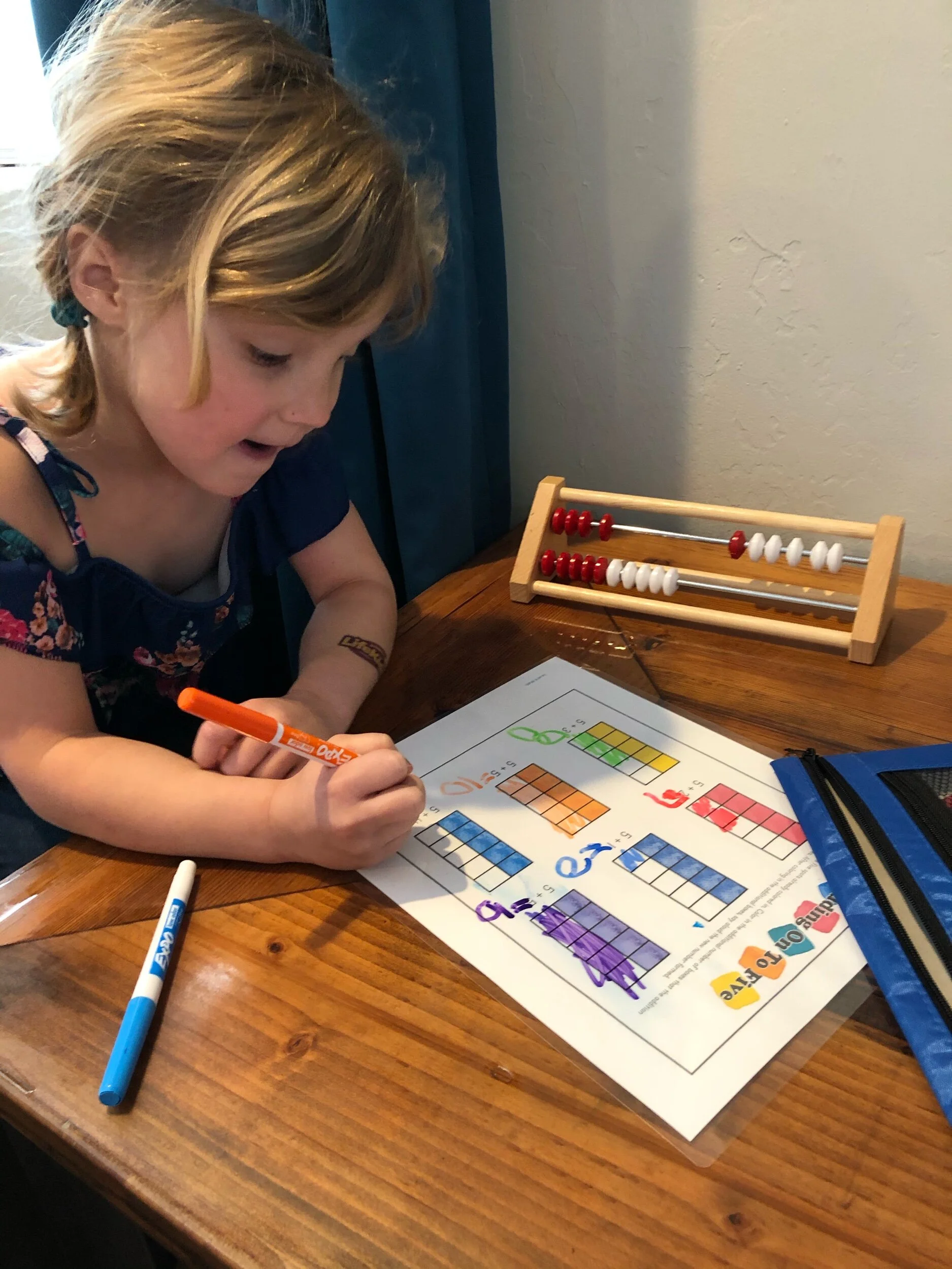Our Homeschool Must-Haves