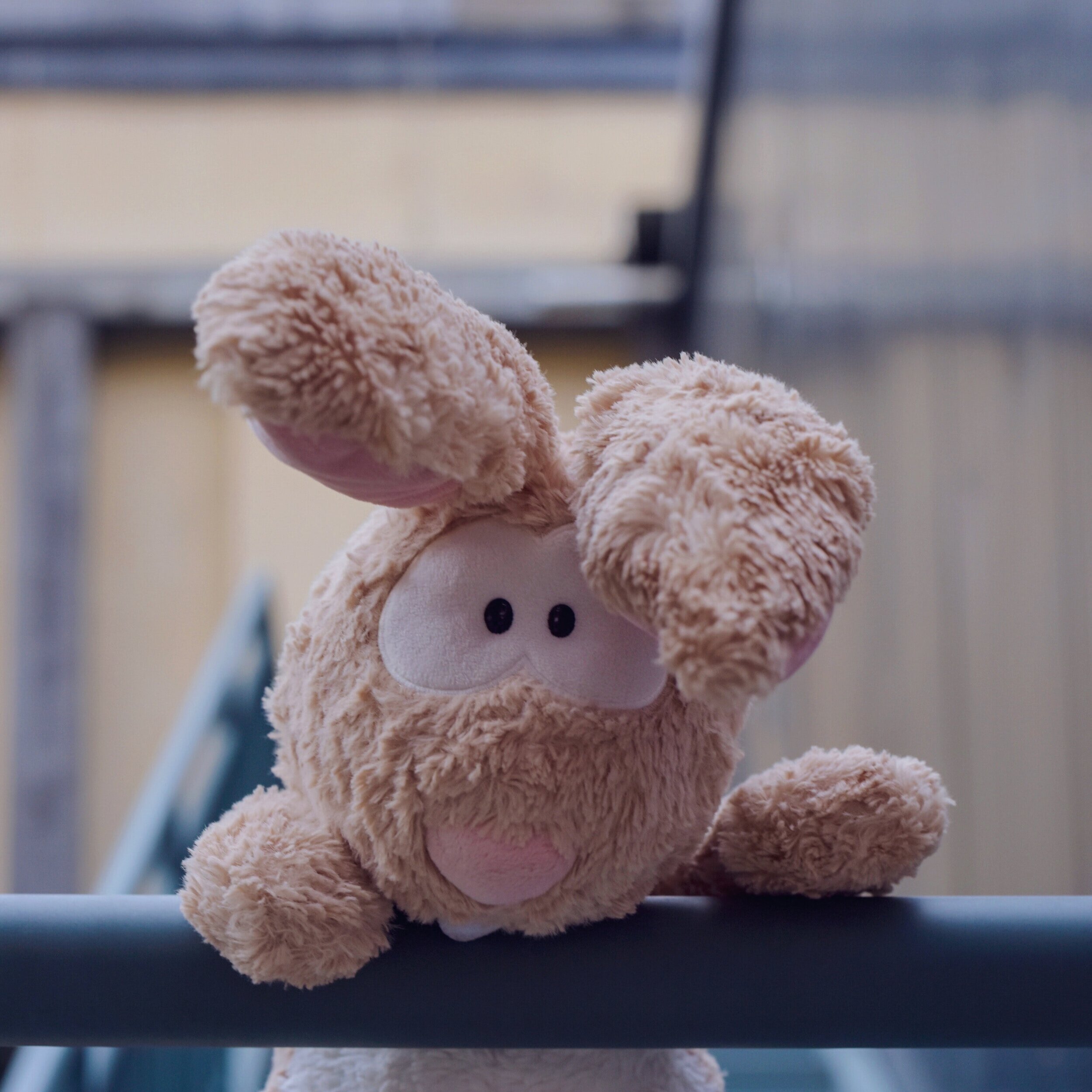 47: Fluffy Bunny Reinvented