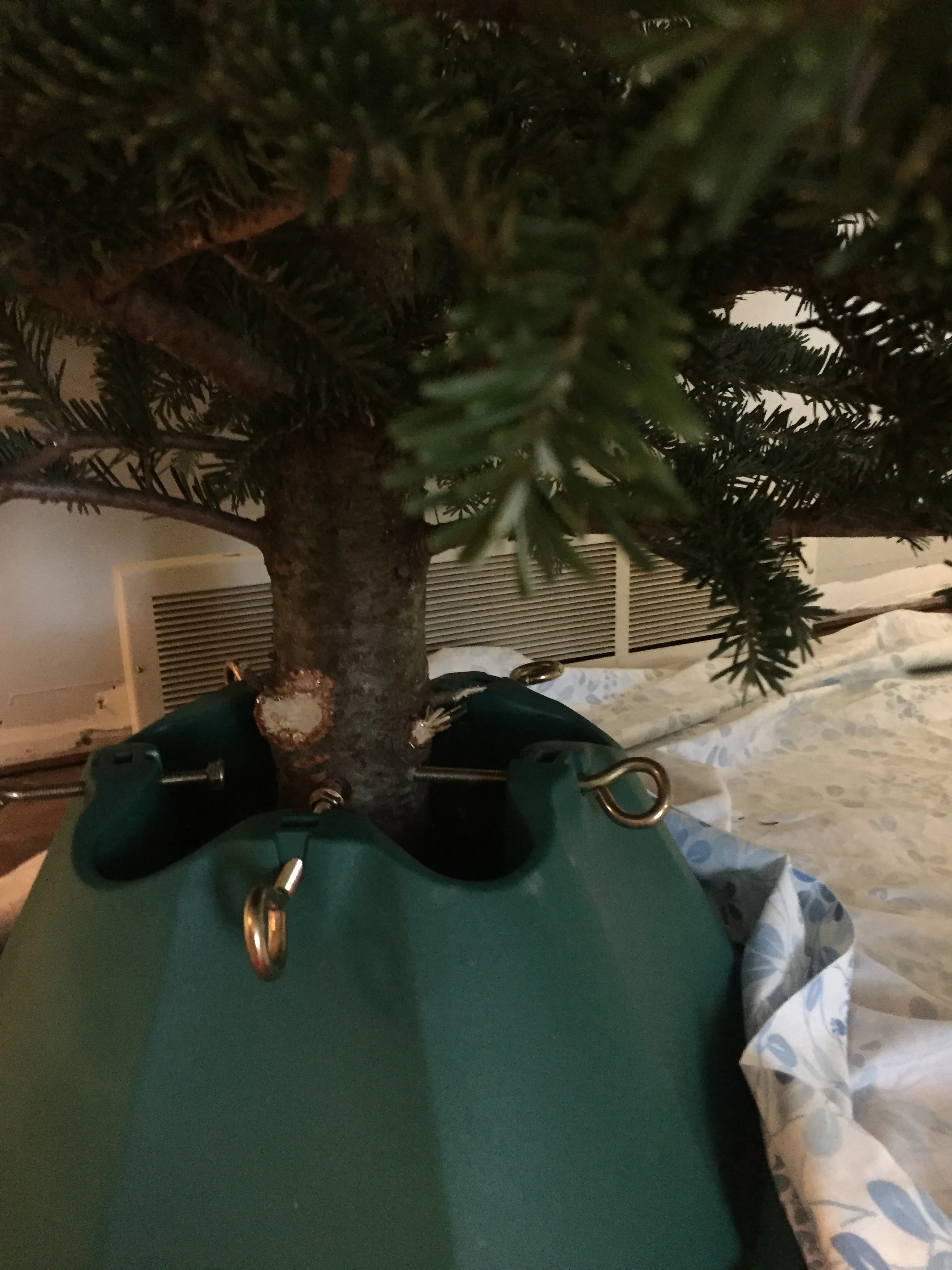 tree-base.jpg