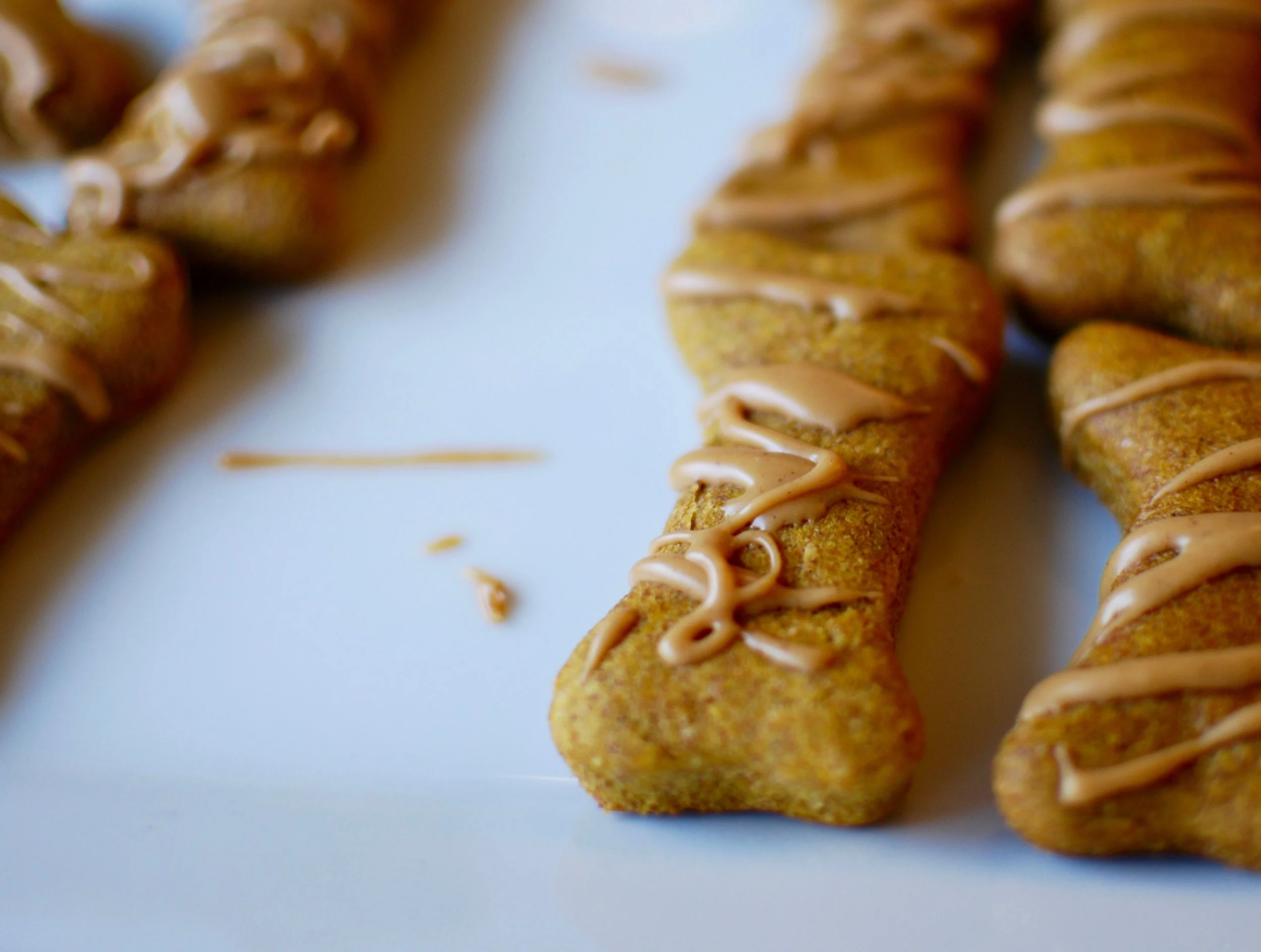 homemade-dog-treats_close-up2.jpg