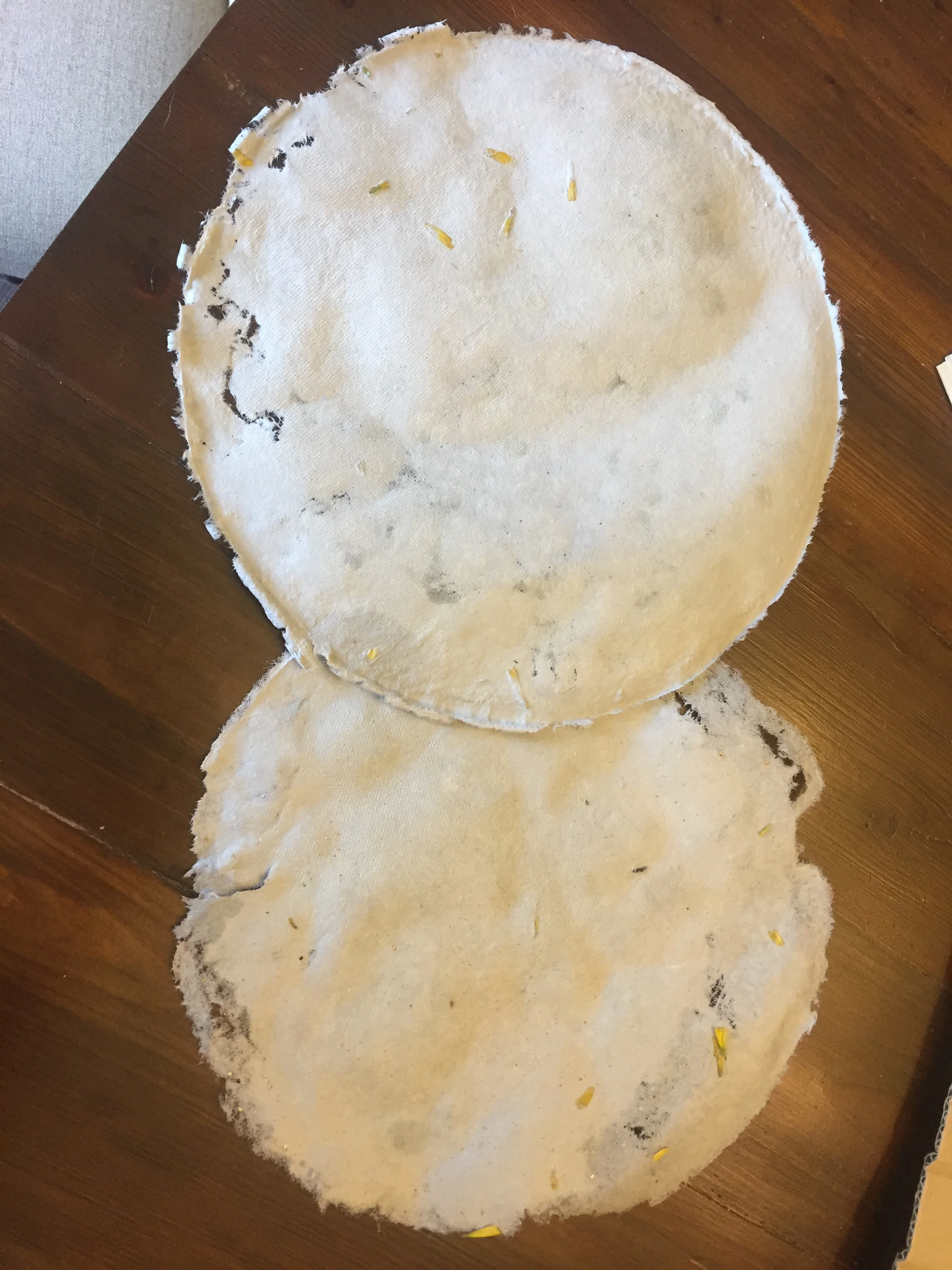 paper-circles.jpg