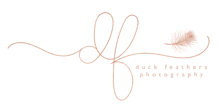 Duck Feathers Photography