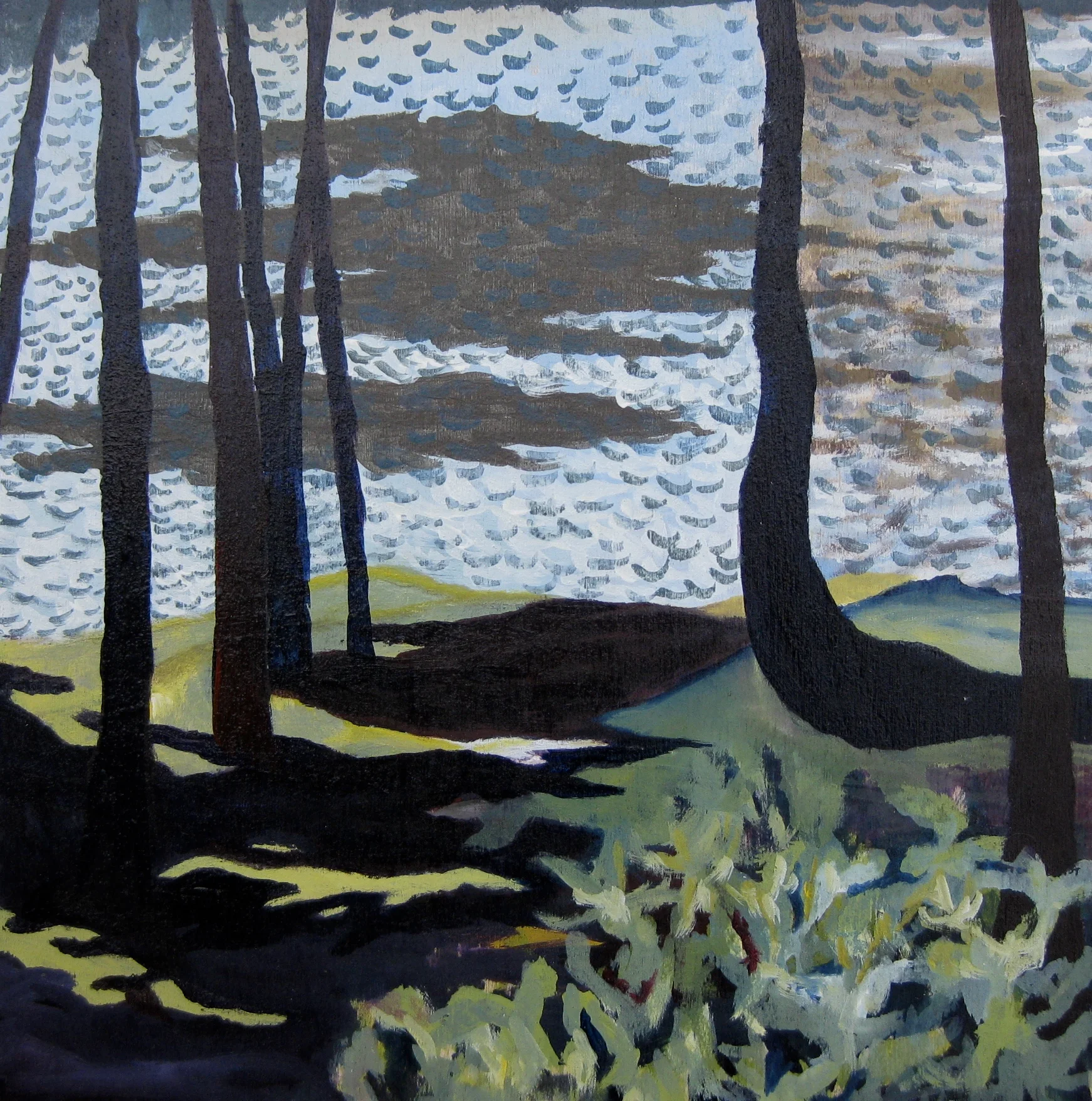 Nine Mile Lake Campground #19