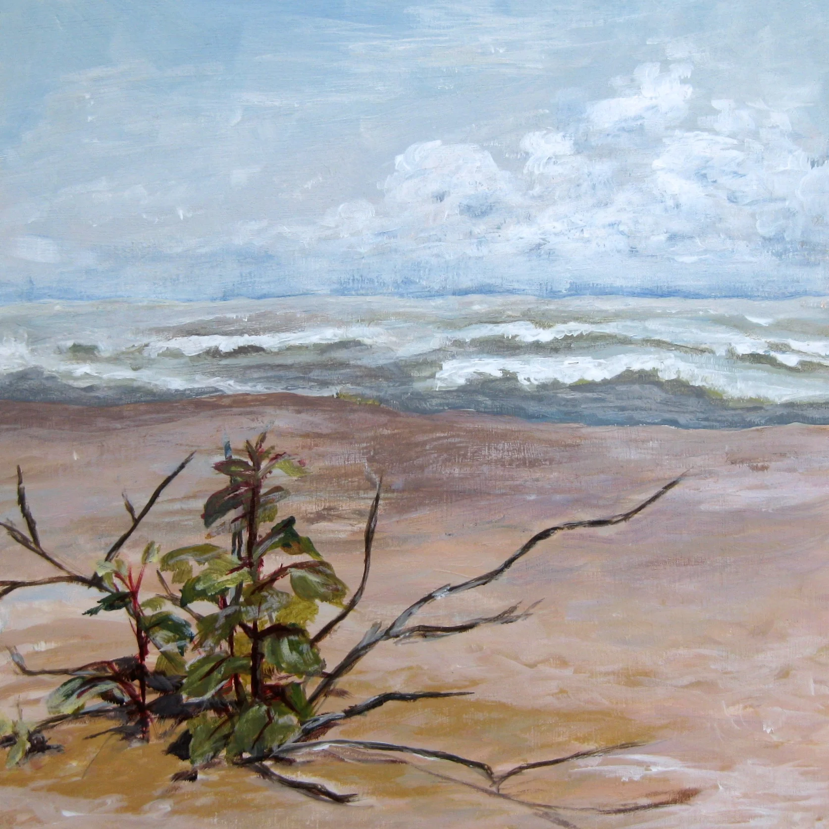 Hazy Morning at Neshota Beach