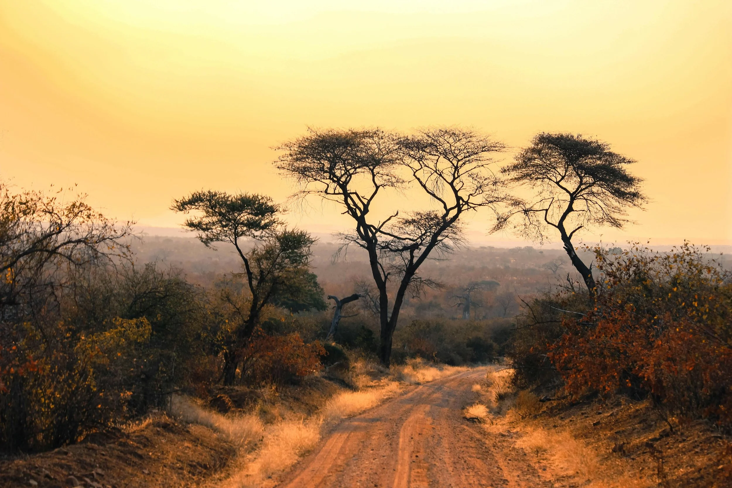 Africa
