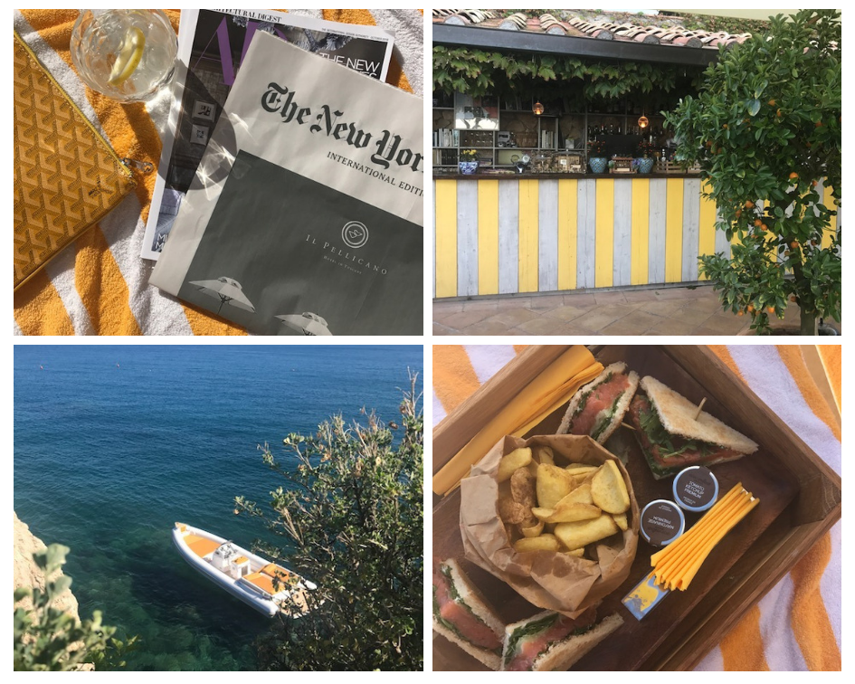 il pellicano.png