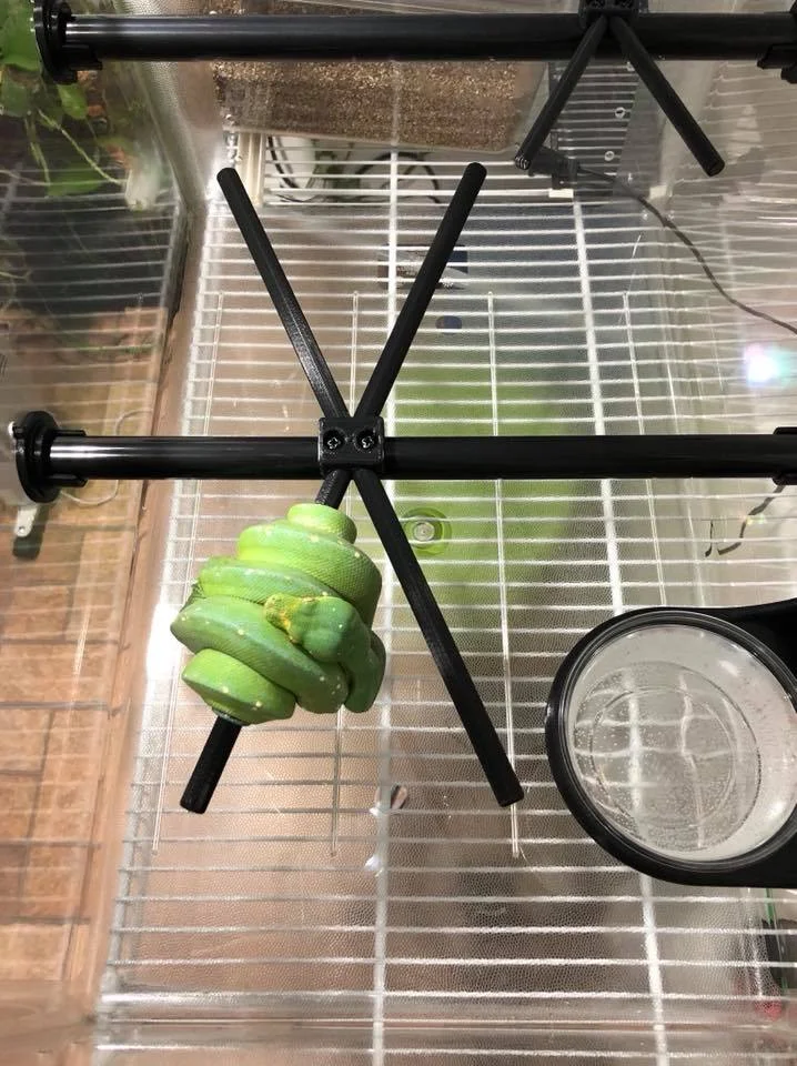 Dragonfly.jpg