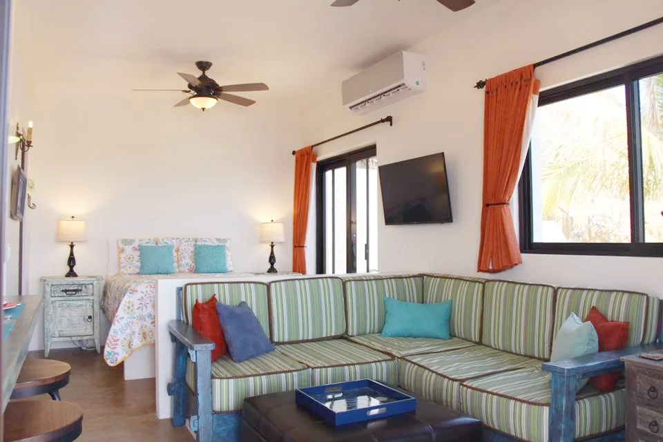 Living/Bedroom