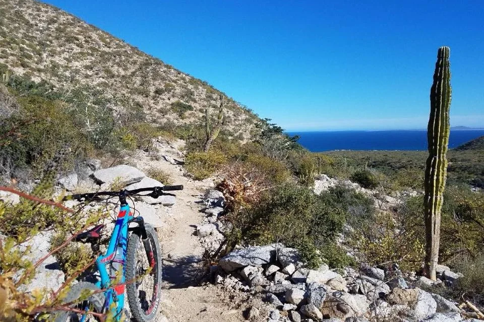 biking.jpg