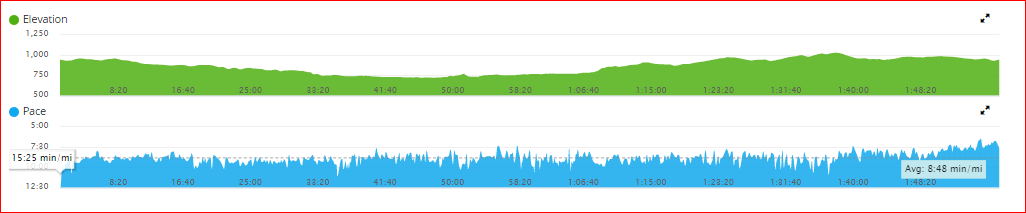 Brooksie Way Profile - Pace.PNG