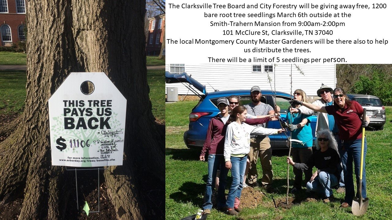 Arbor Day Tree Give A Way Local Clarksville
