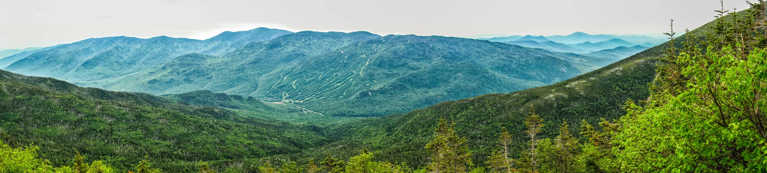 Lion's Head Panorama facing Wildcat by Reid Gilman