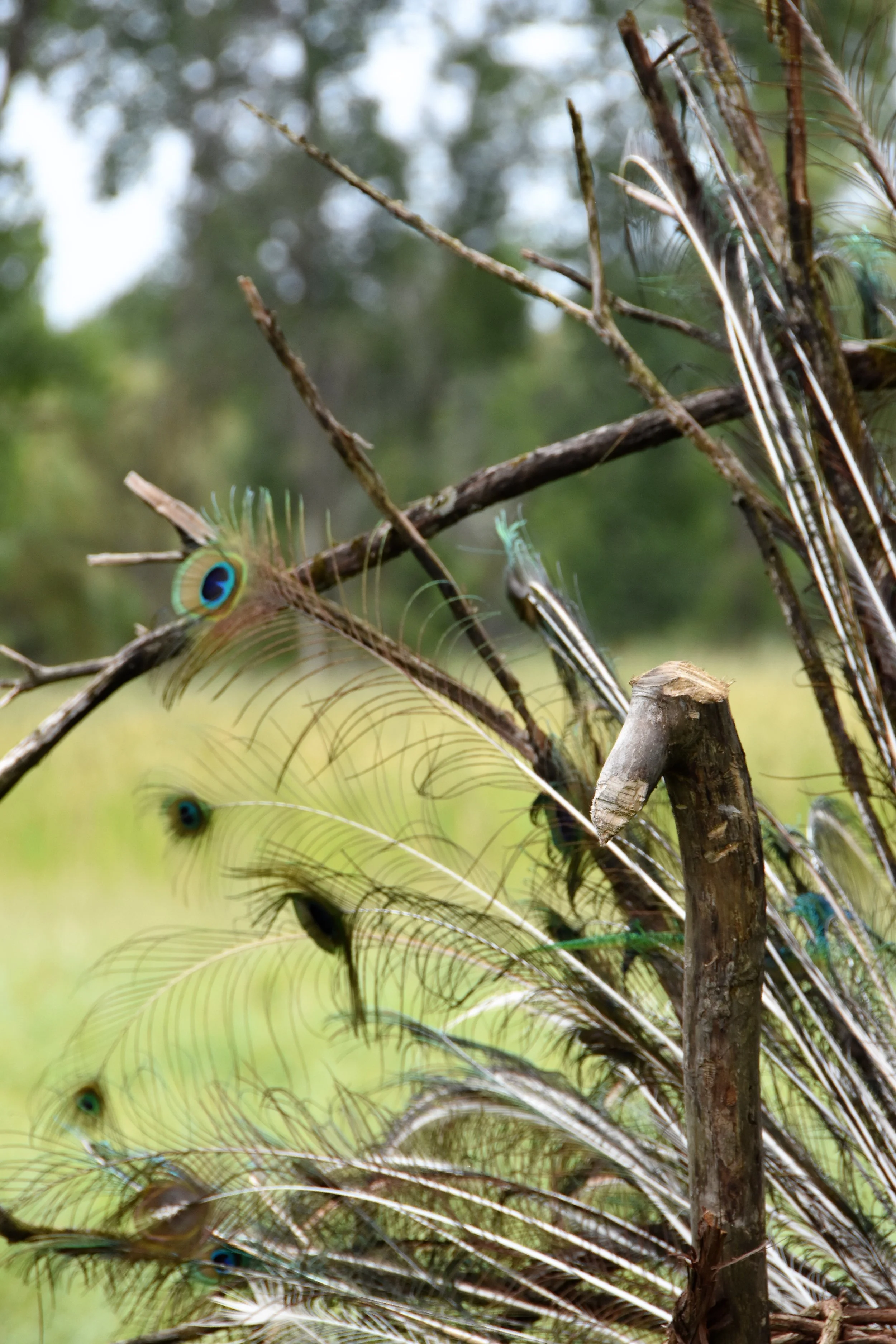 DSC_5737.JPG