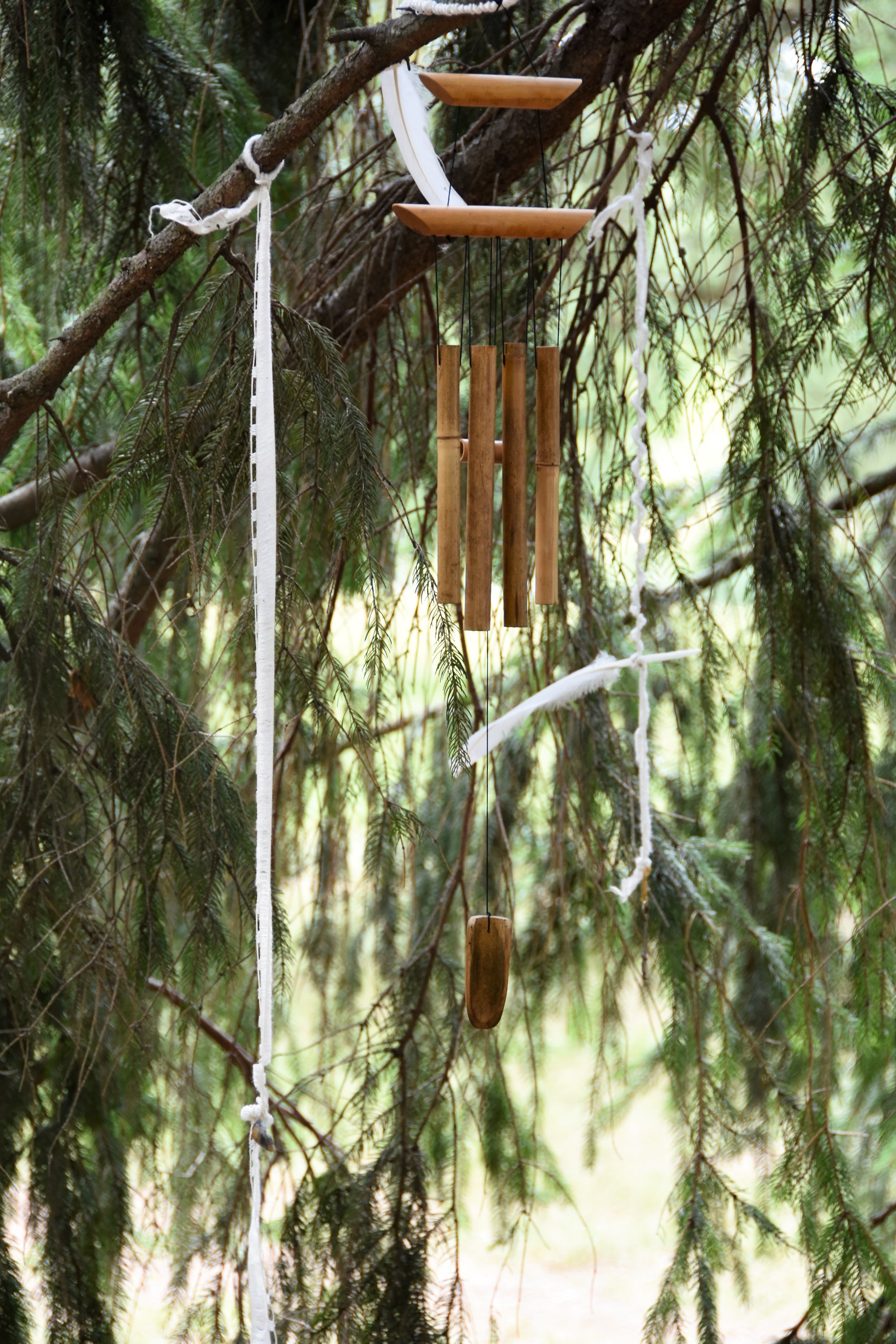 DSC_6039.JPG