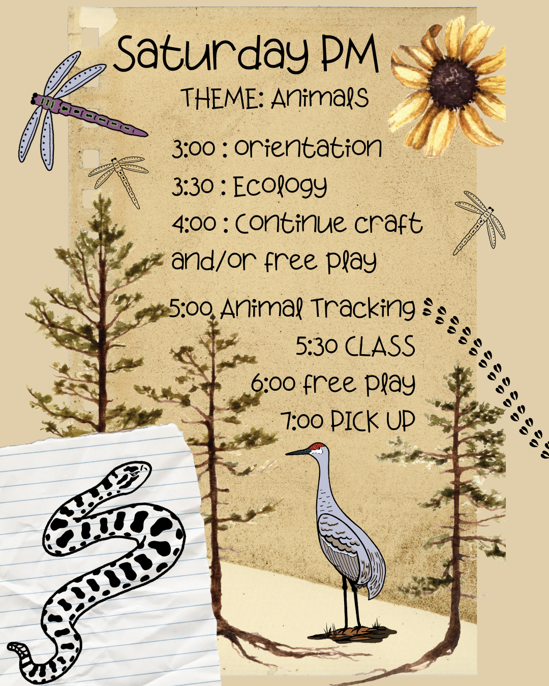 Sapling Skillshare Sessions - 4.png
