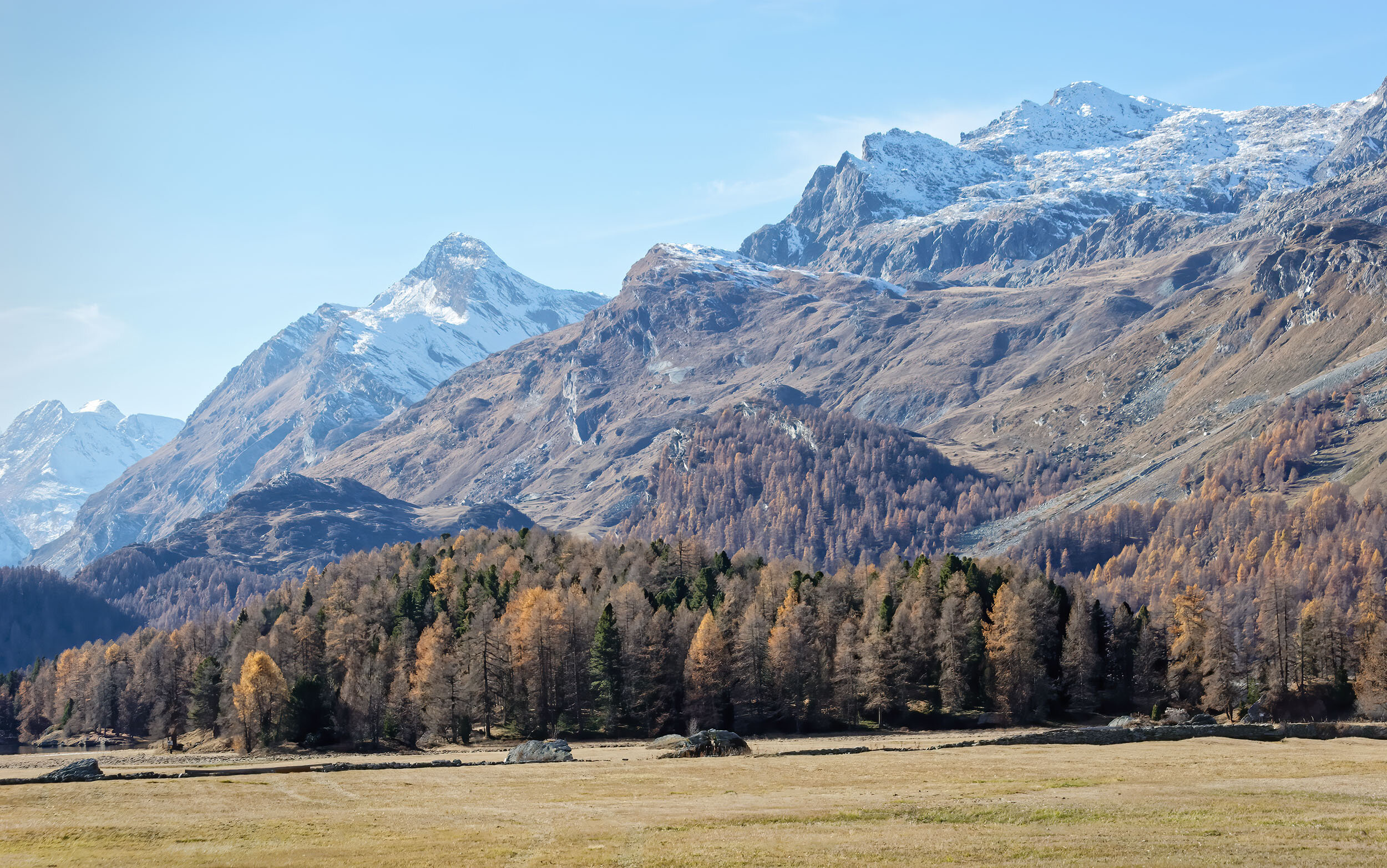 Autumn Forest Swiss Alps, St. Moritz, Switzerland 2006