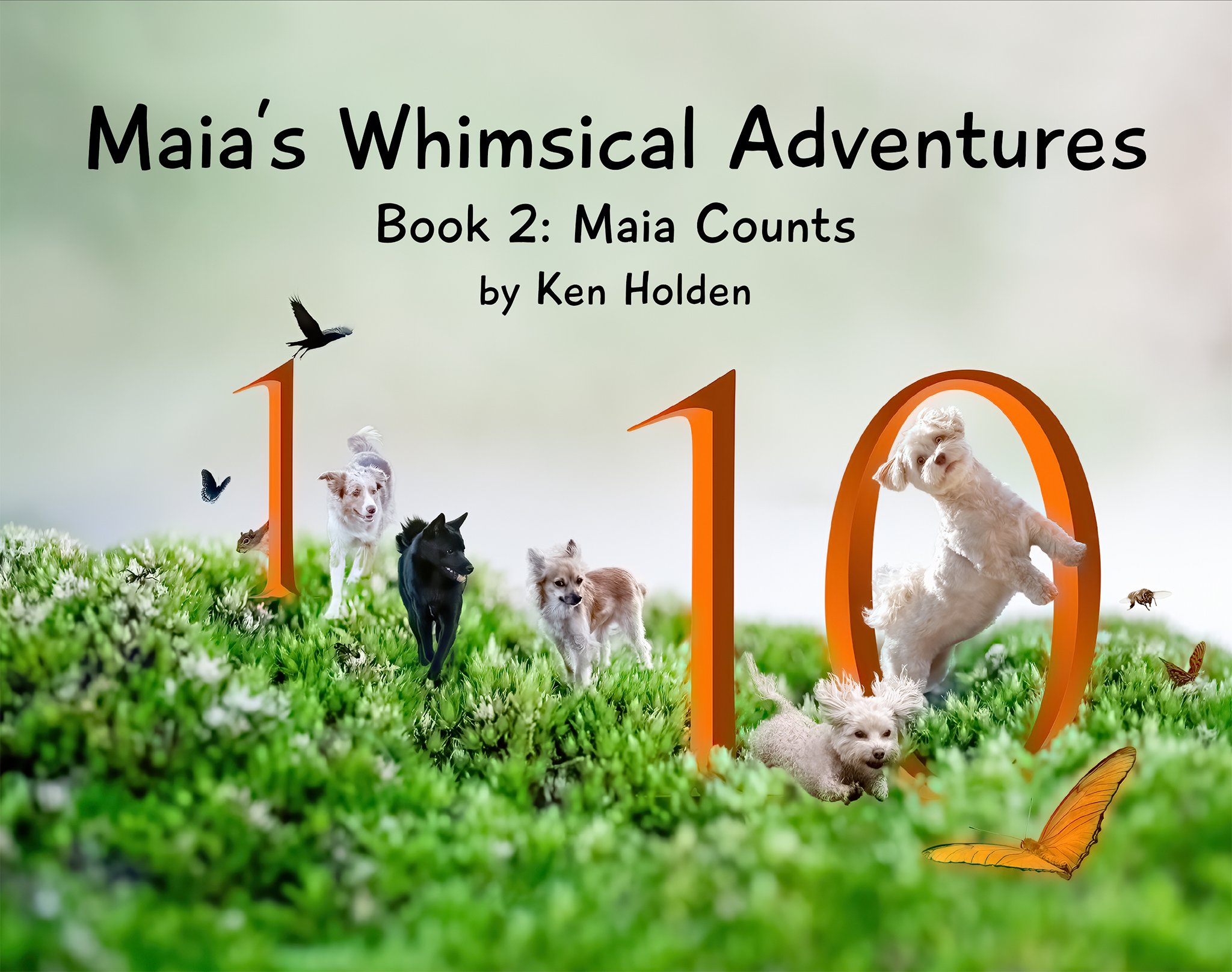 Maia's Whimsical Adventures, Book 2: Maia Counts