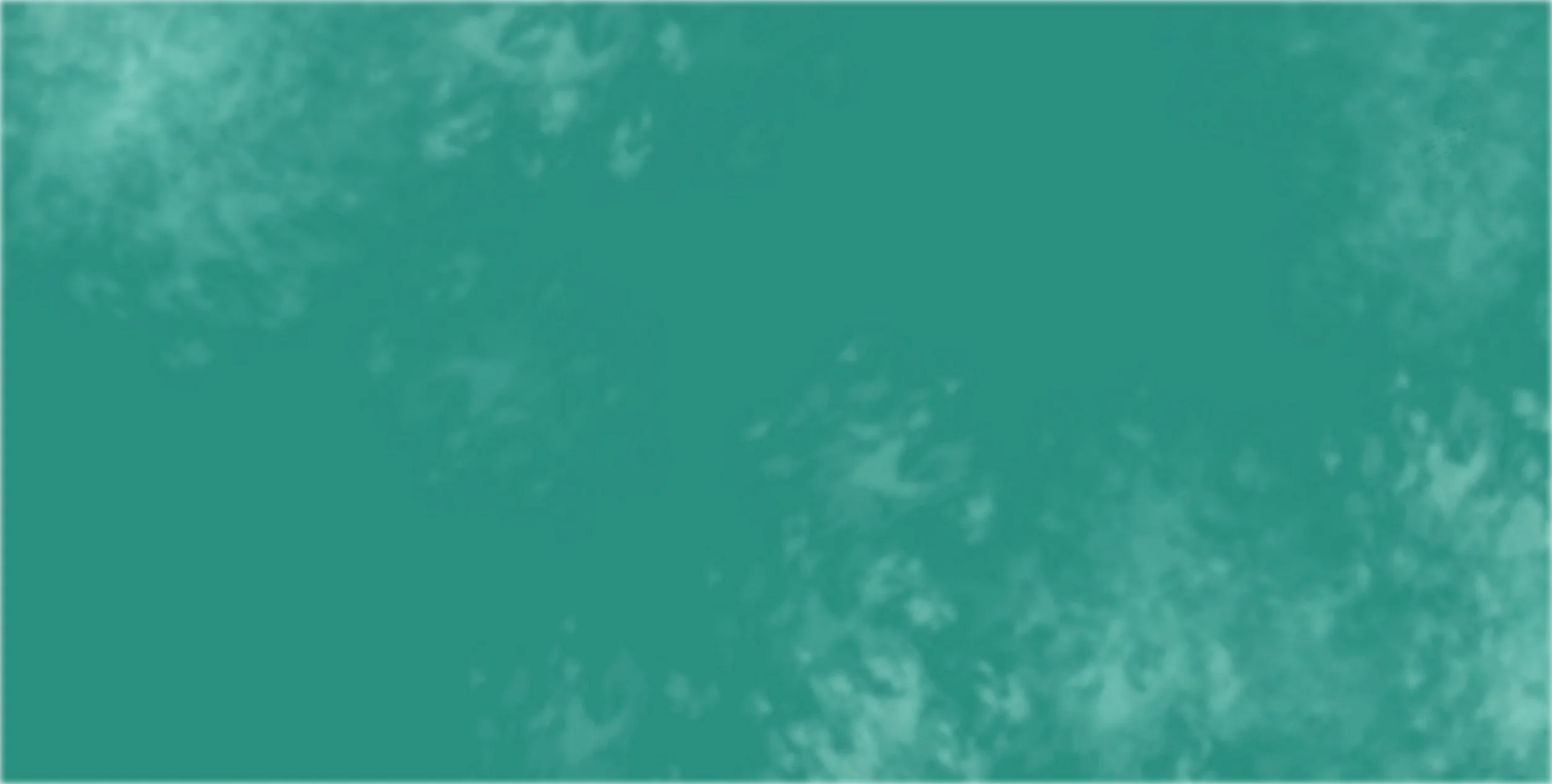 Board.jpg