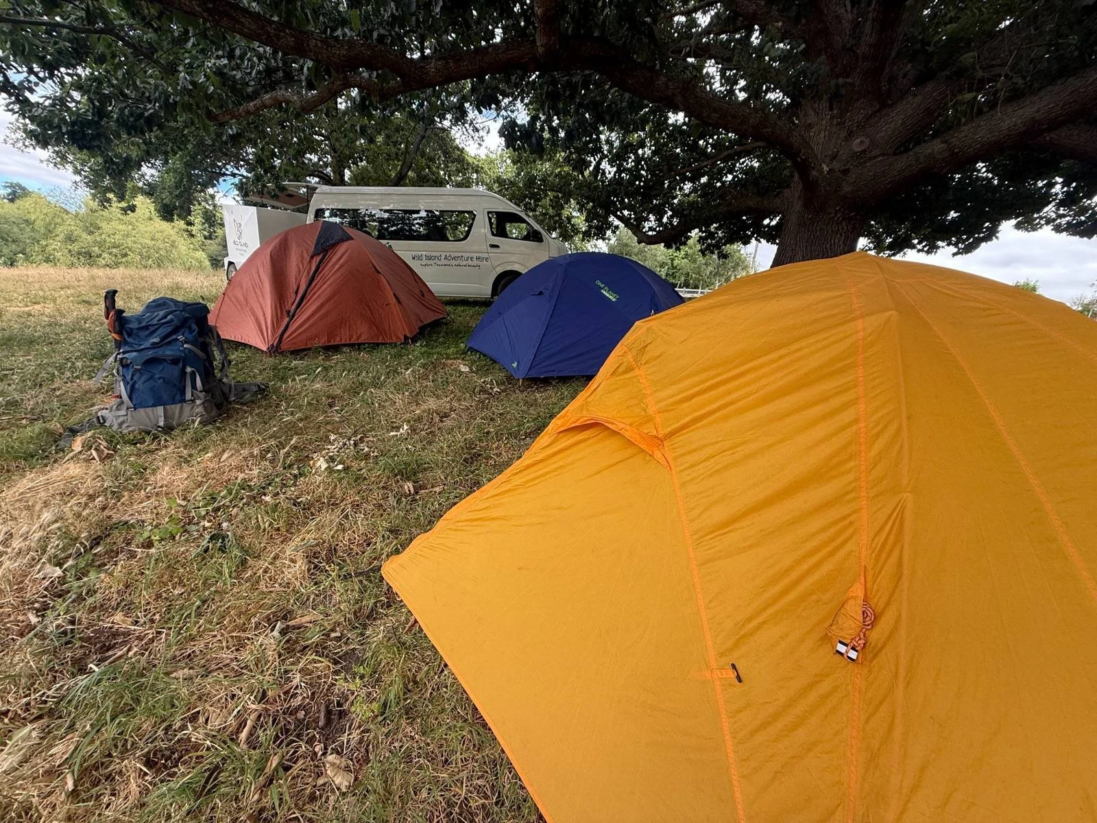 tents_set_up_for_hikers.jpg