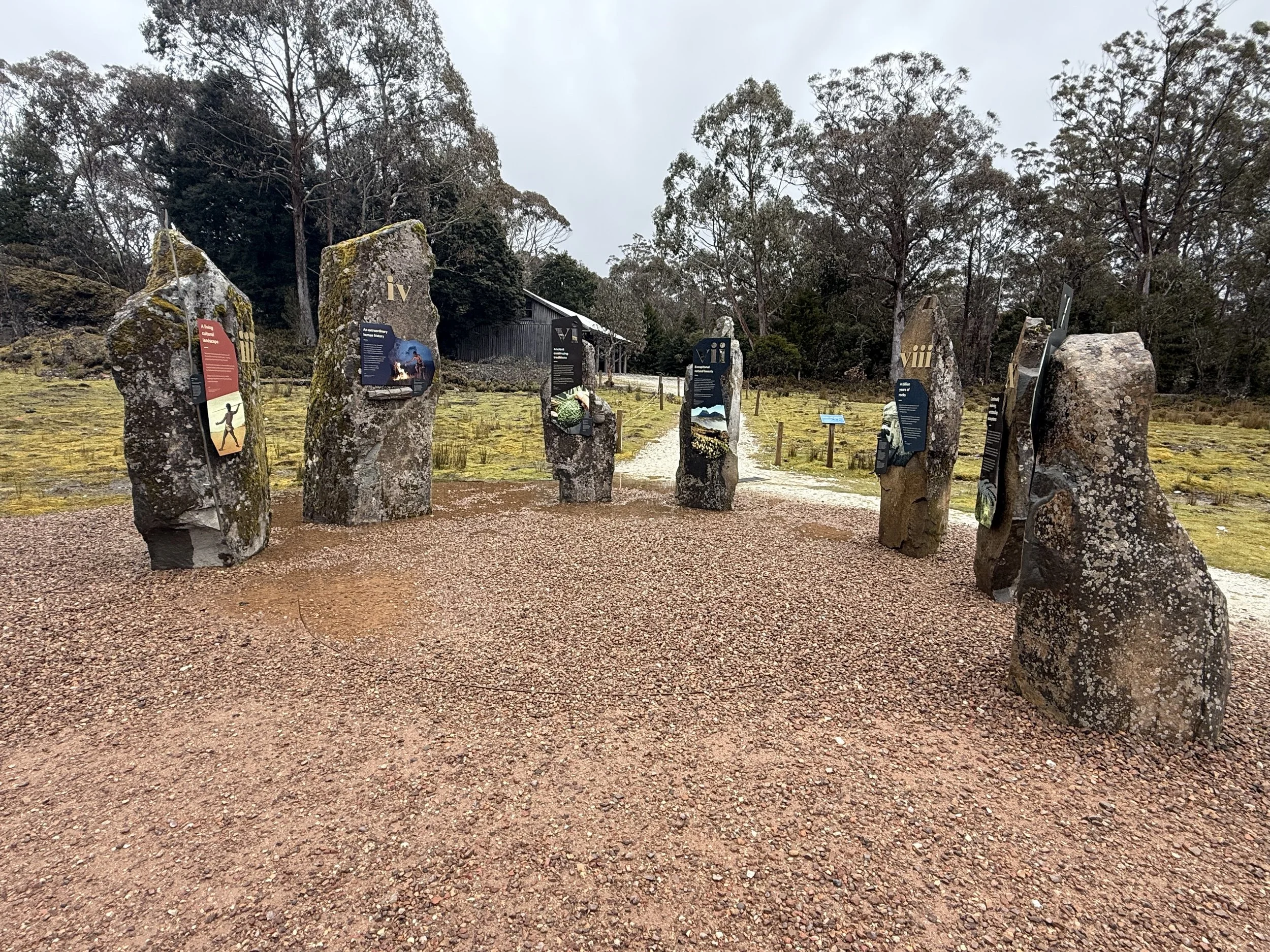 Cradle Mountain Rocks
