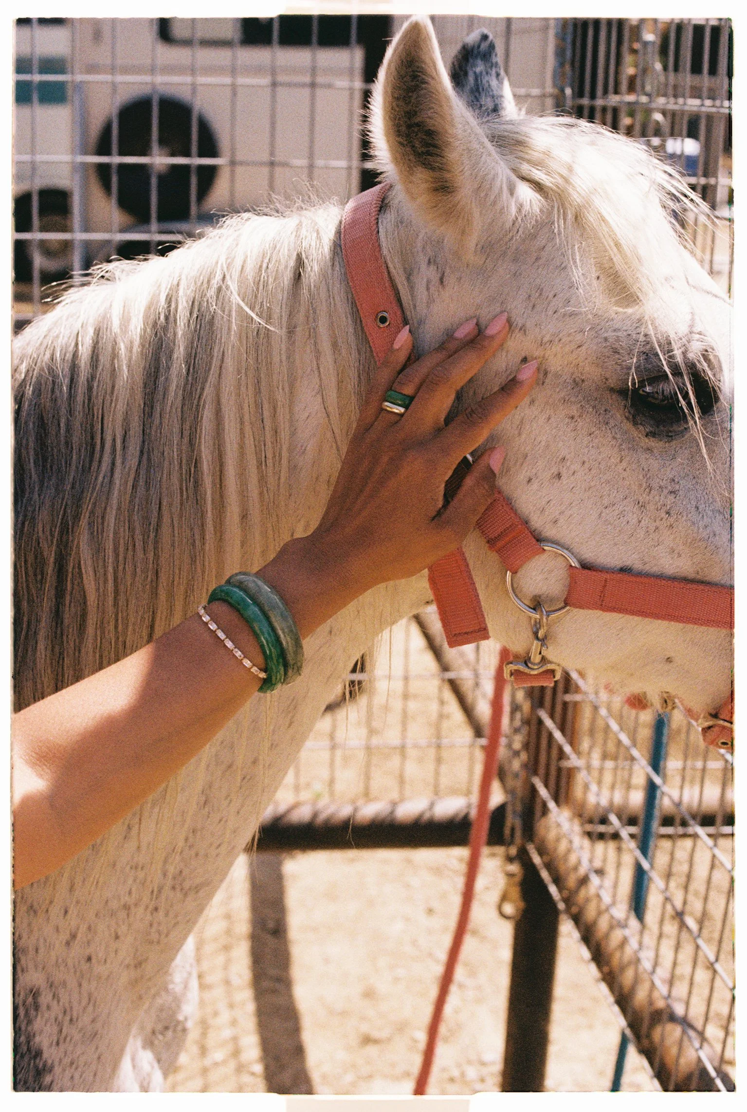 jame479-054.jpg