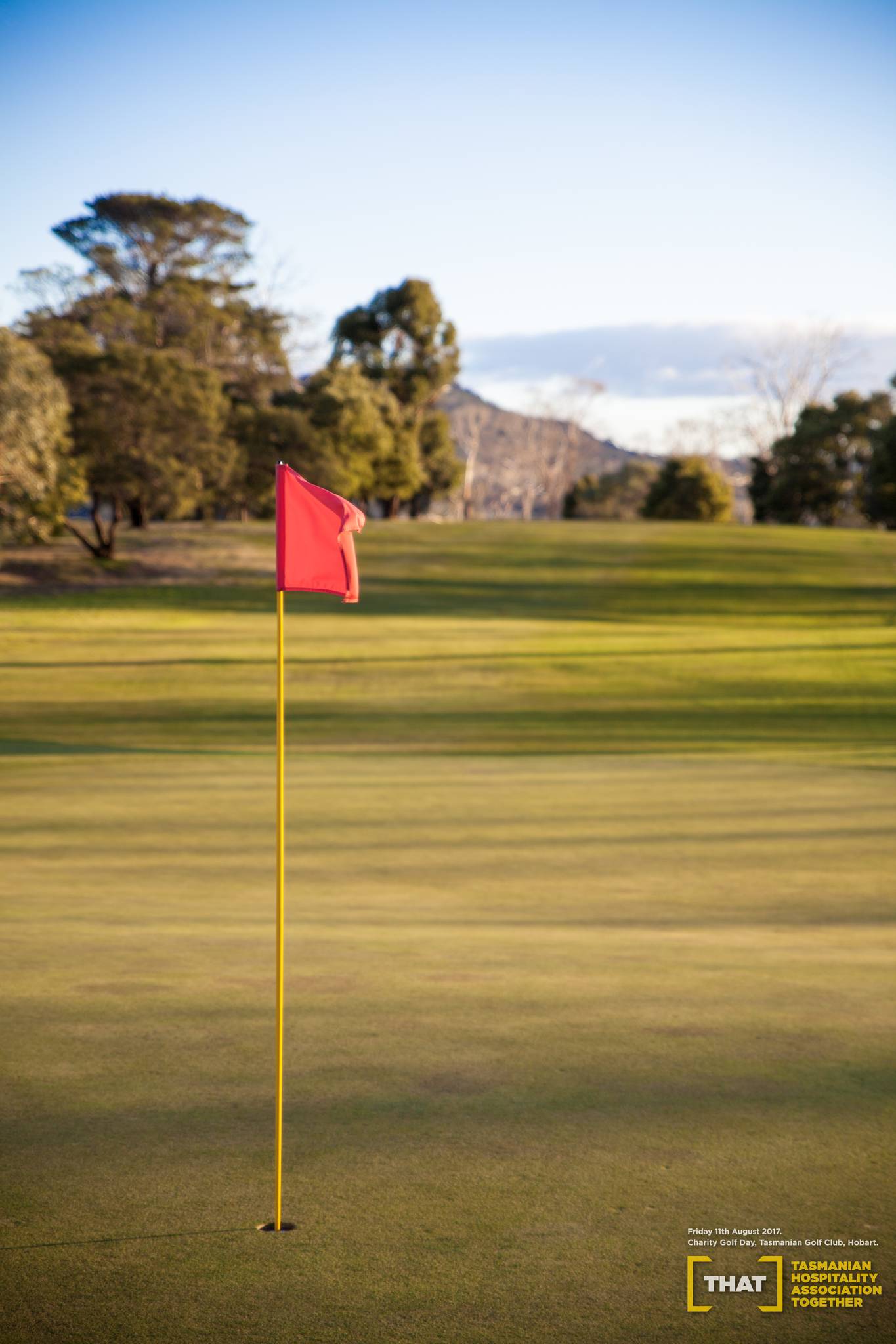 THAT+Golf+Day+0135.jpg